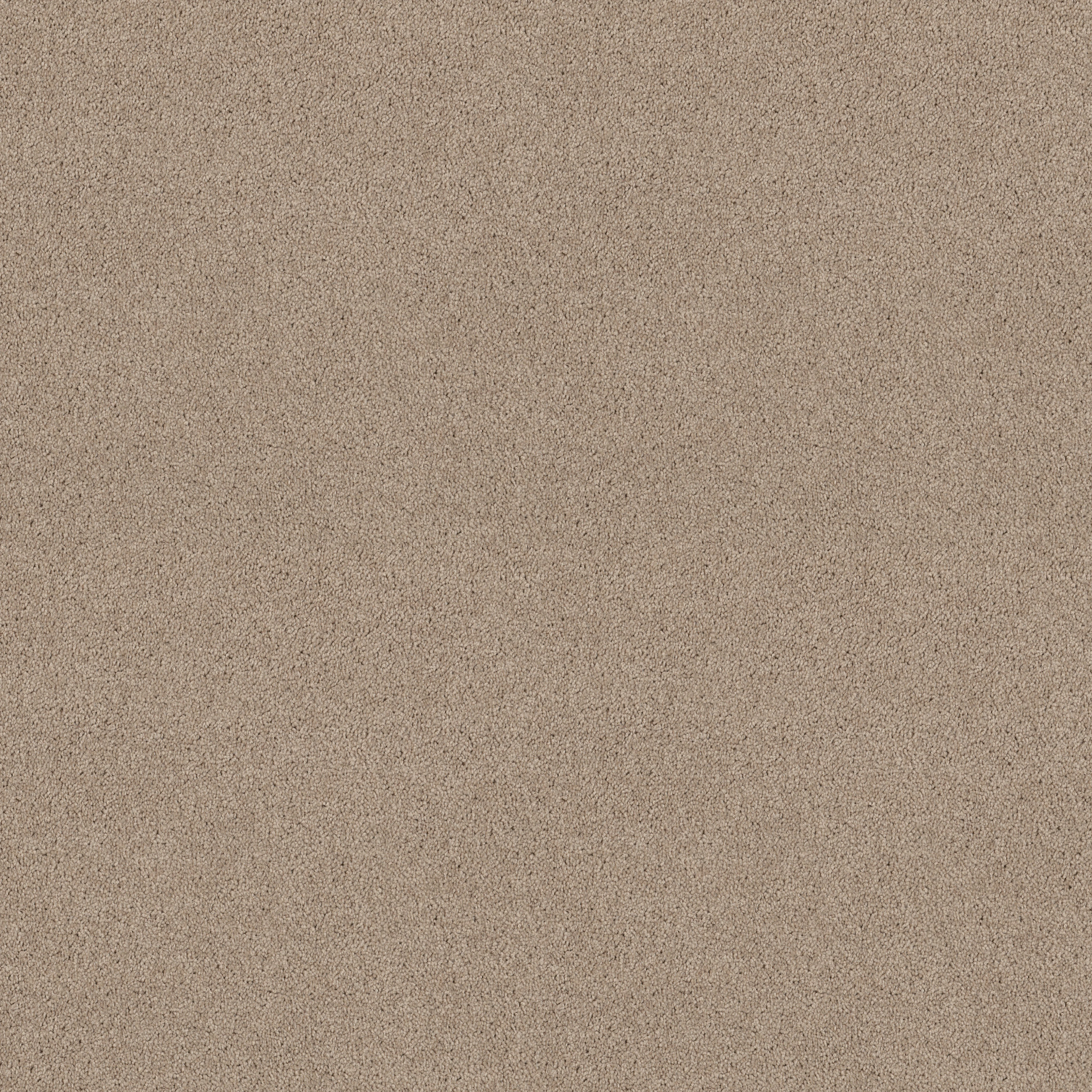 LACONA 12' DOVE MAIN