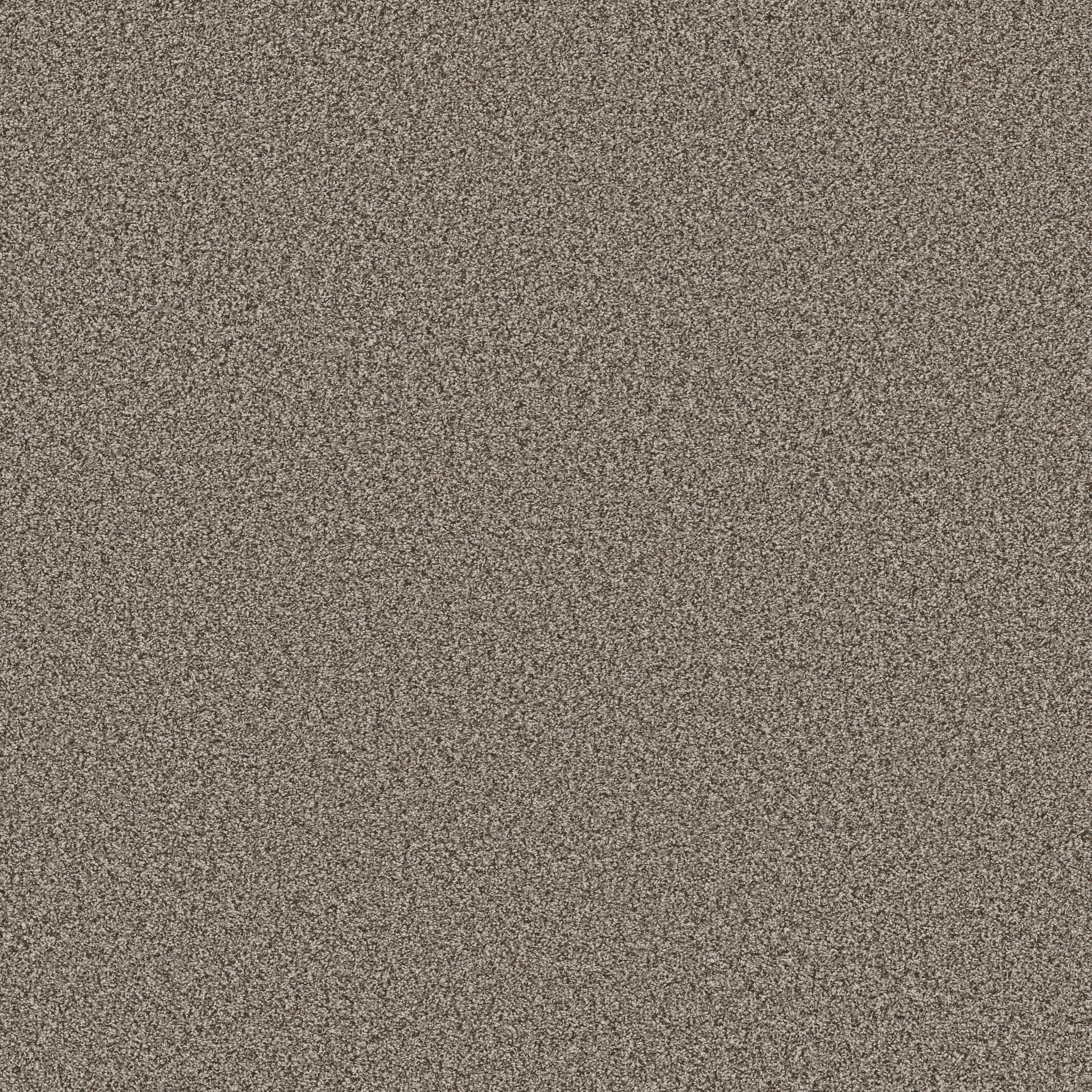 TWEED COMFORT I WAKE UP CALL MAIN