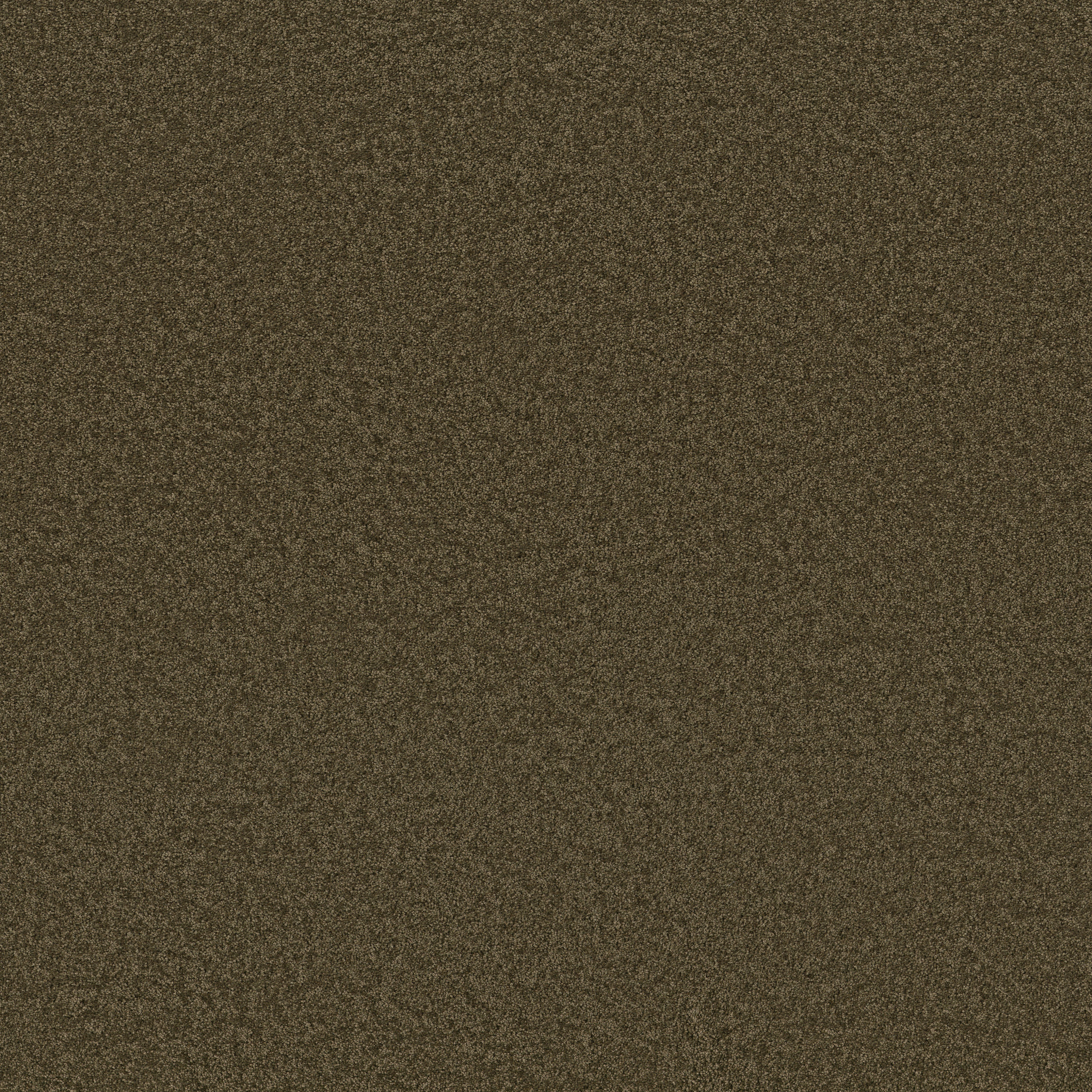 ENCHANTING DARK OLIVE MAIN