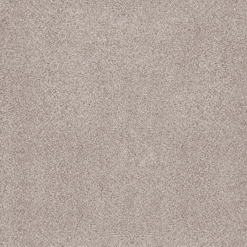 Sumptuous II Broadloom Carpet in Patio Stone color, 12ft width, made of 100% nylon, accent cut pile texture