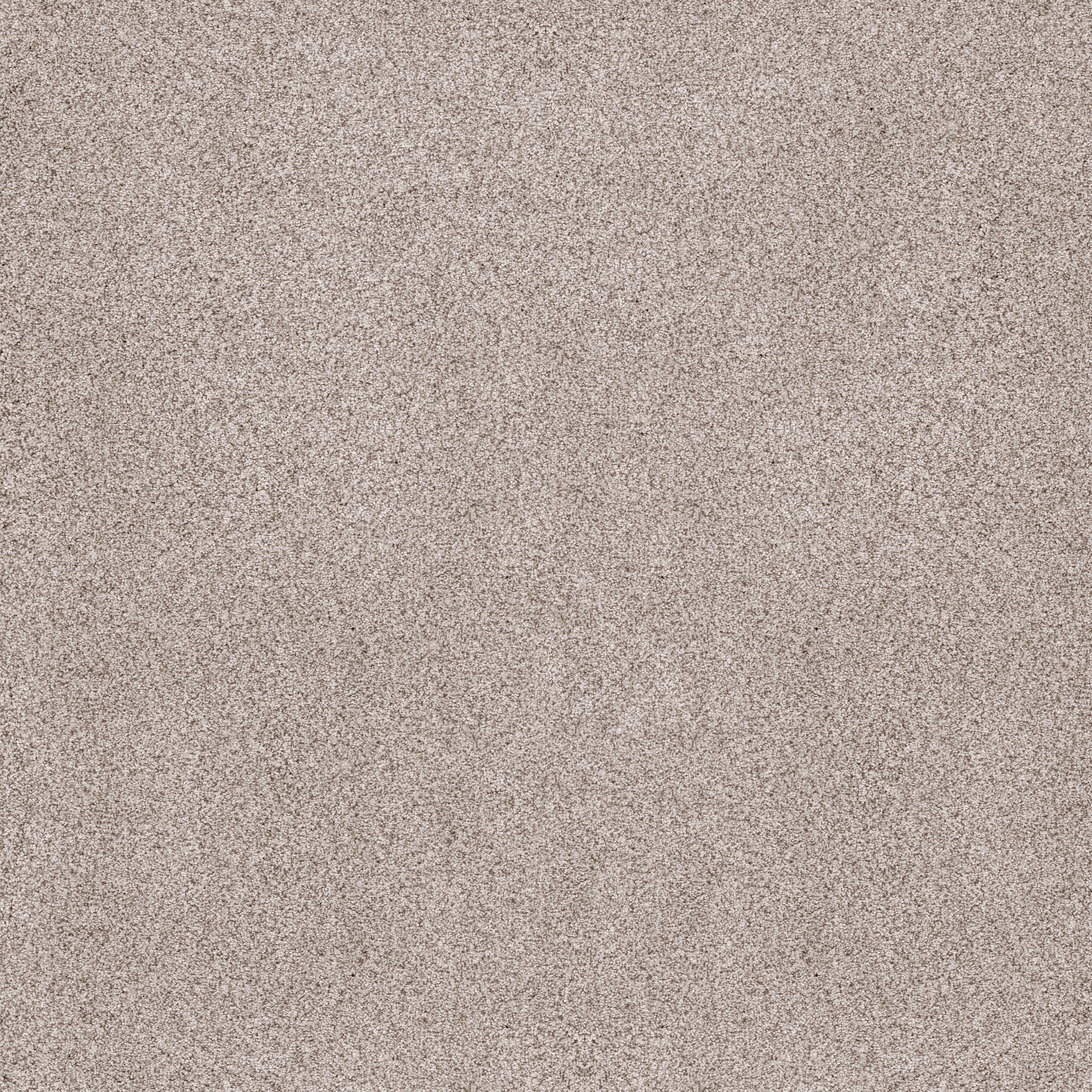 SUMPTUOUS II BRETON MAIN