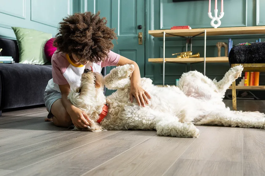 Coretec Mineral Core Residential Wood Look Vinyl Flooring - 47.64x7.6 inch Young woman playing with a dog on wood look vinyl flooring in a stylish living room