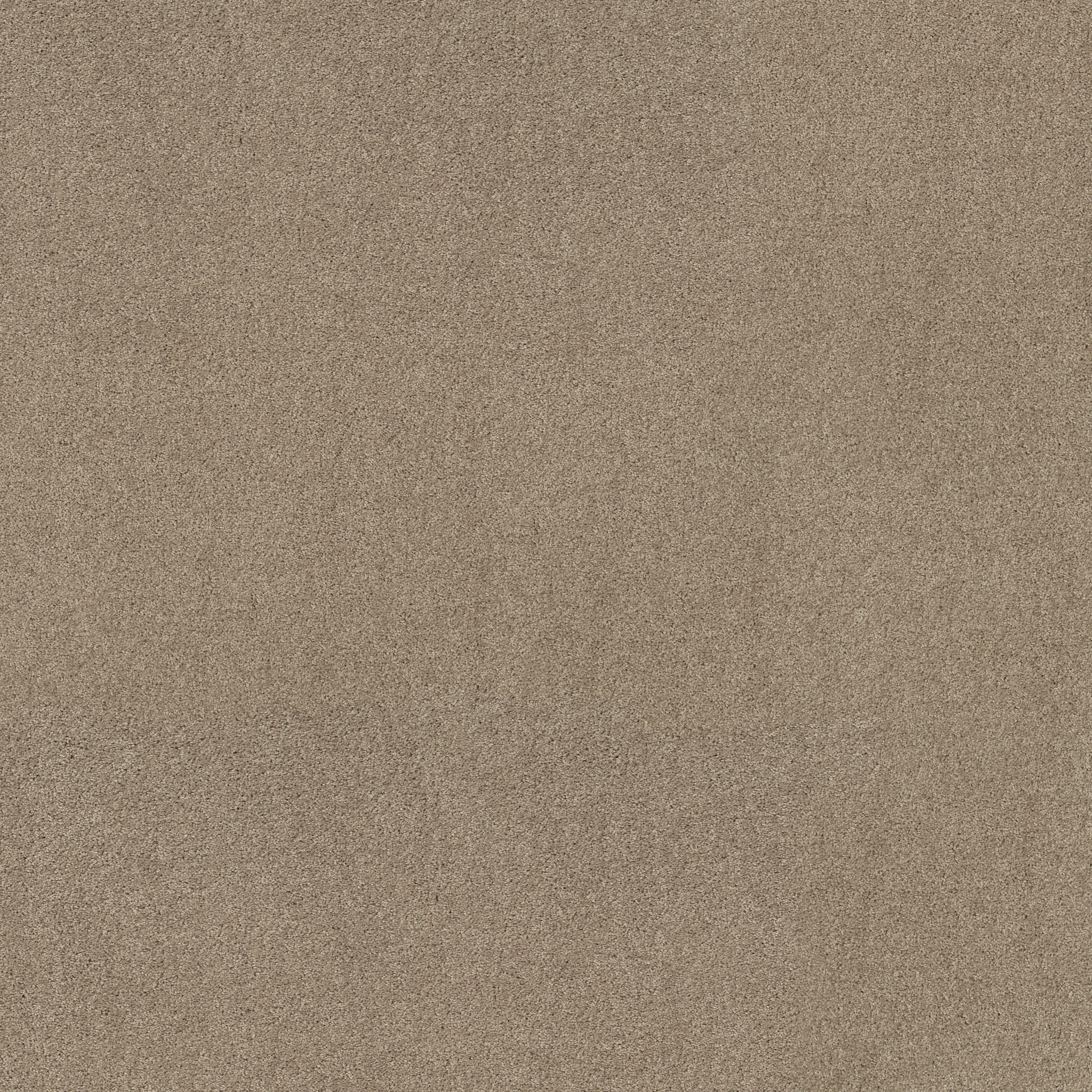 MY DESTINATION I LATTÉ MAIN