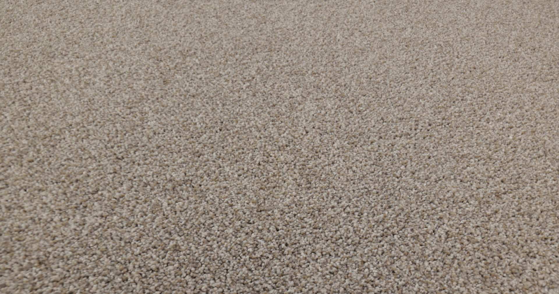 REFINED BEAUTY DAWN BEIGE 360PROD