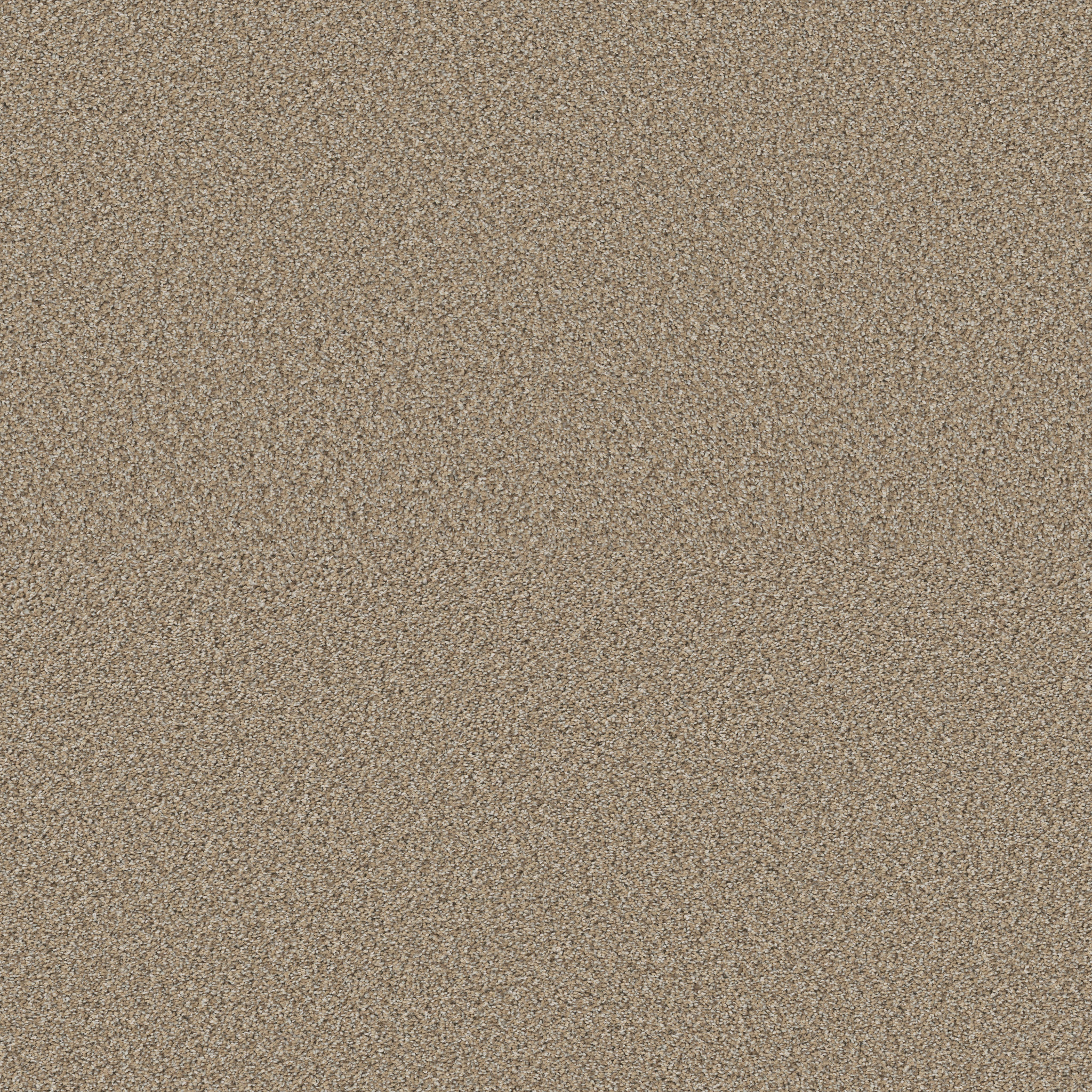 HIGH IMPACT B SPIRIT MAIN