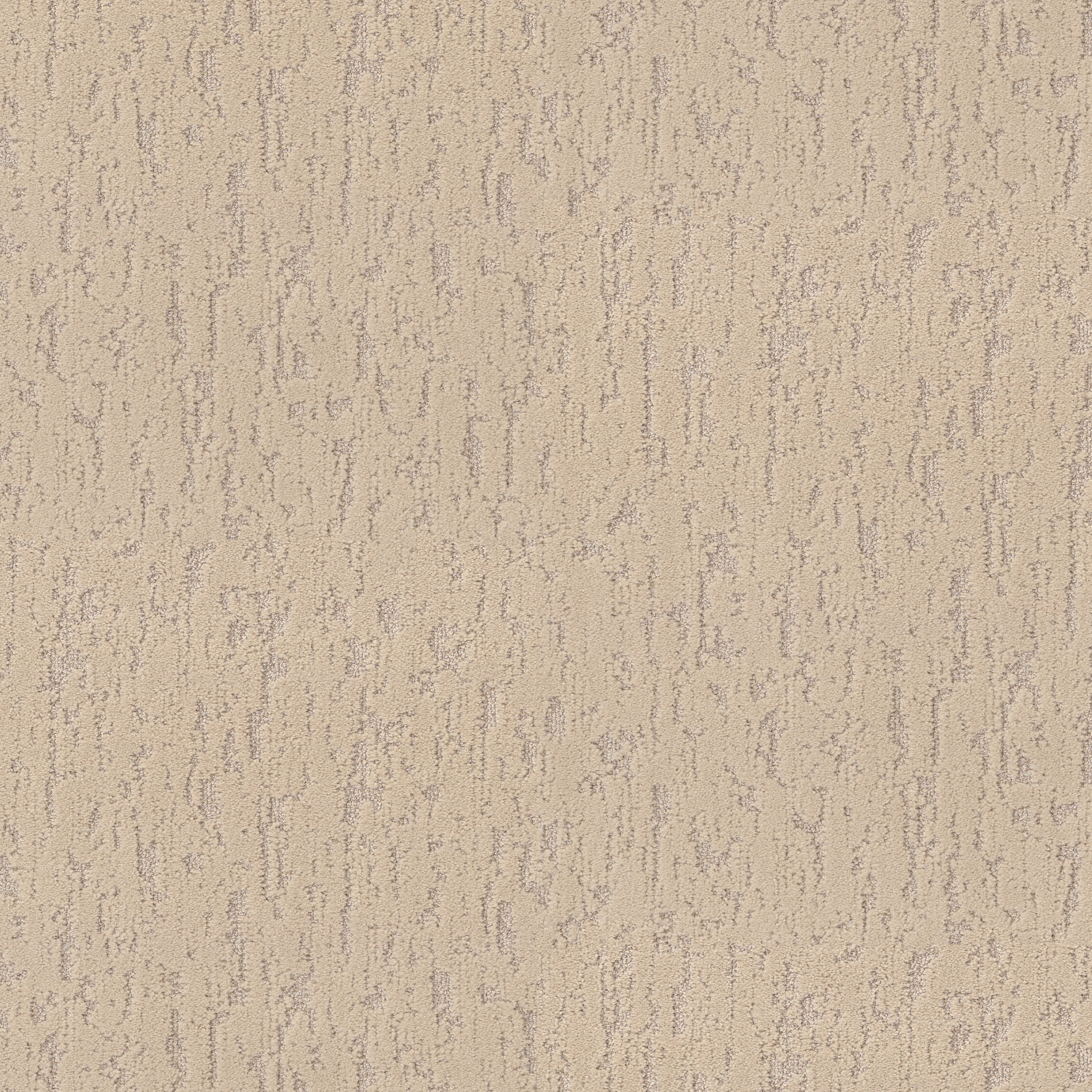 CALM EXPRESSION CASHEW MAIN