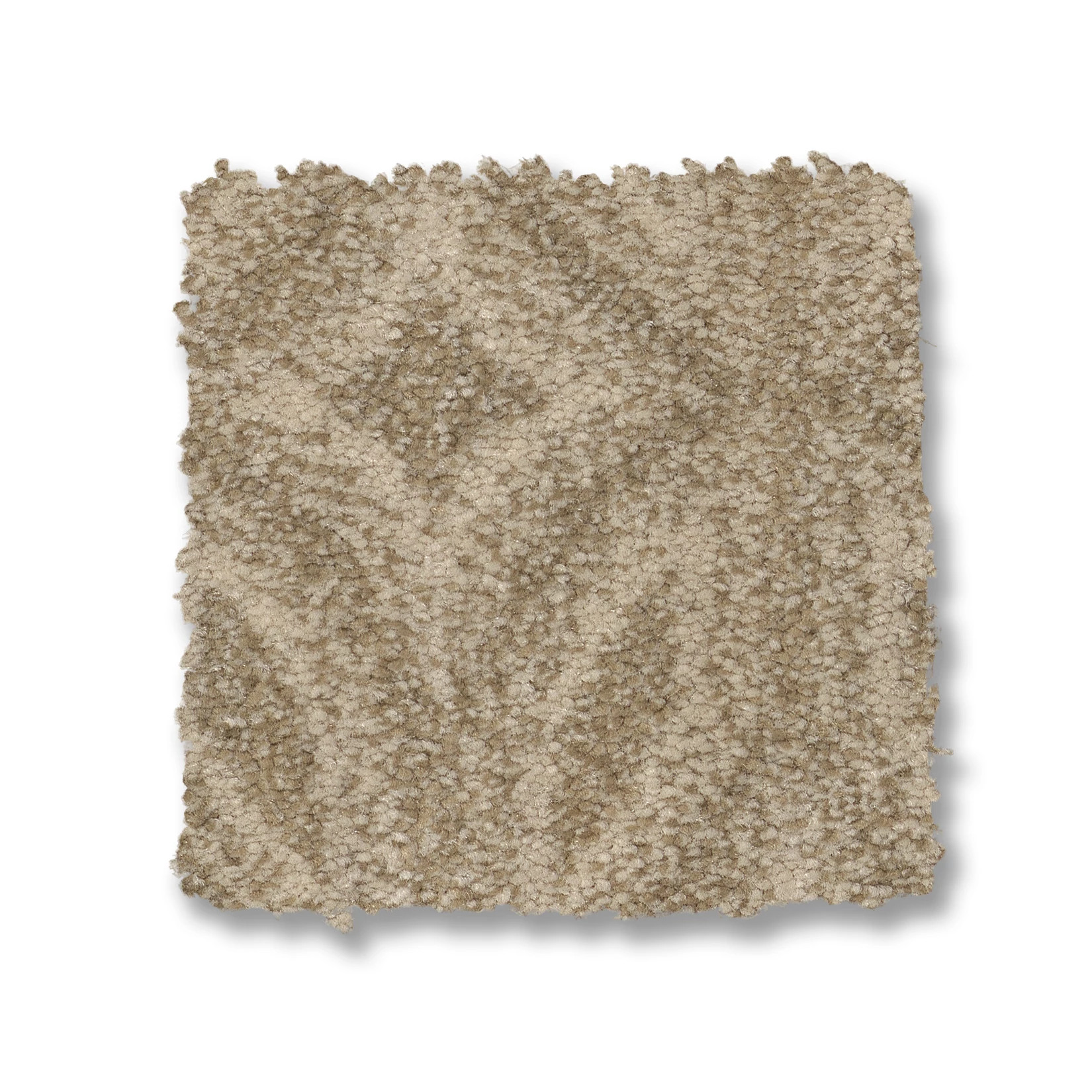 ENLIGHTENED CASUAL SWATCH