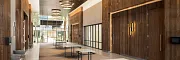 Modern Hospitality Facility with Commercial Carpet Tile Flooring Spacious hospitality facility with modern design featuring commercial carpet tile in a blend of brown and beige tones