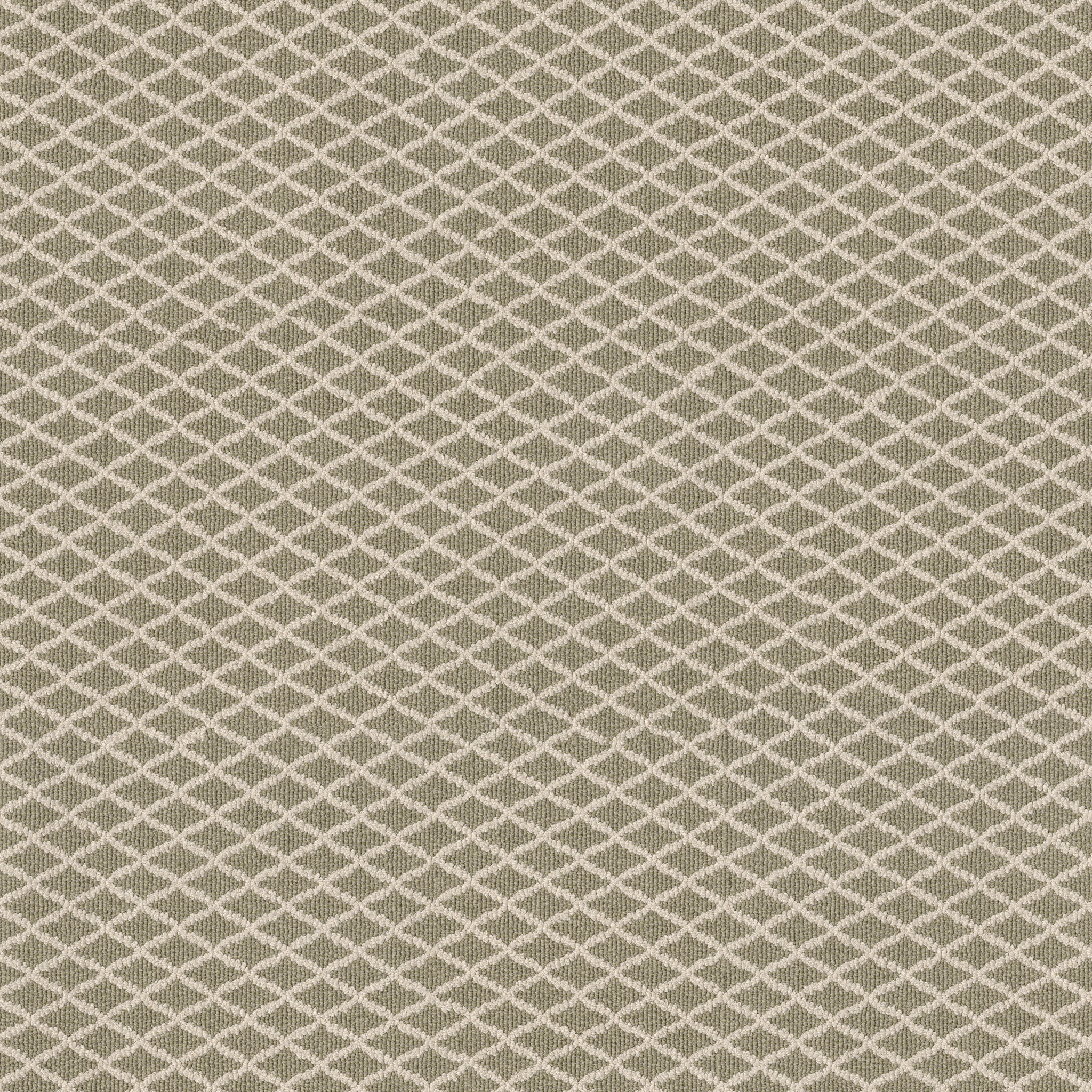 SPRINGER'S POINT SPRING MIST MAIN