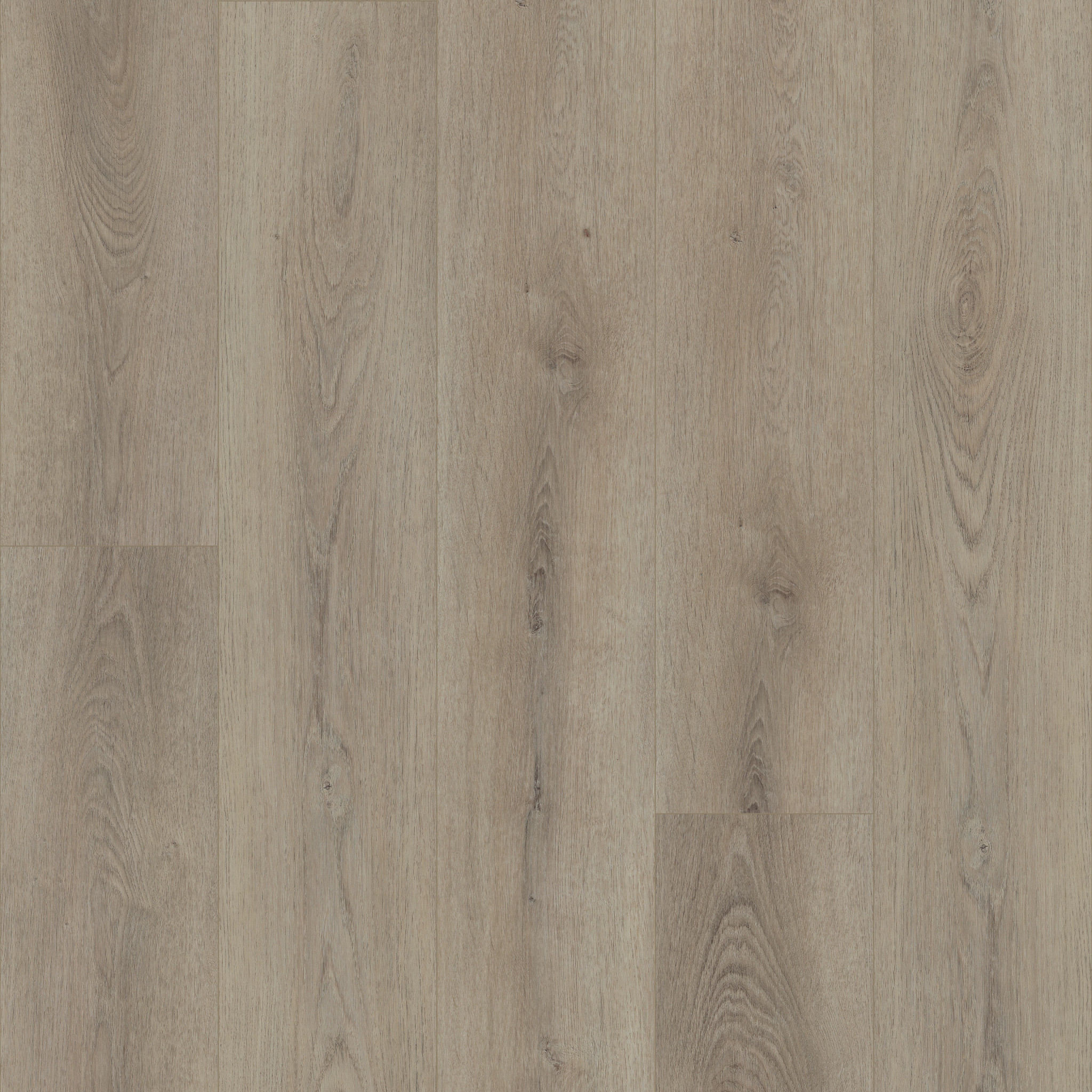 PALADIN PLUS TOASTED TAUPE MAIN