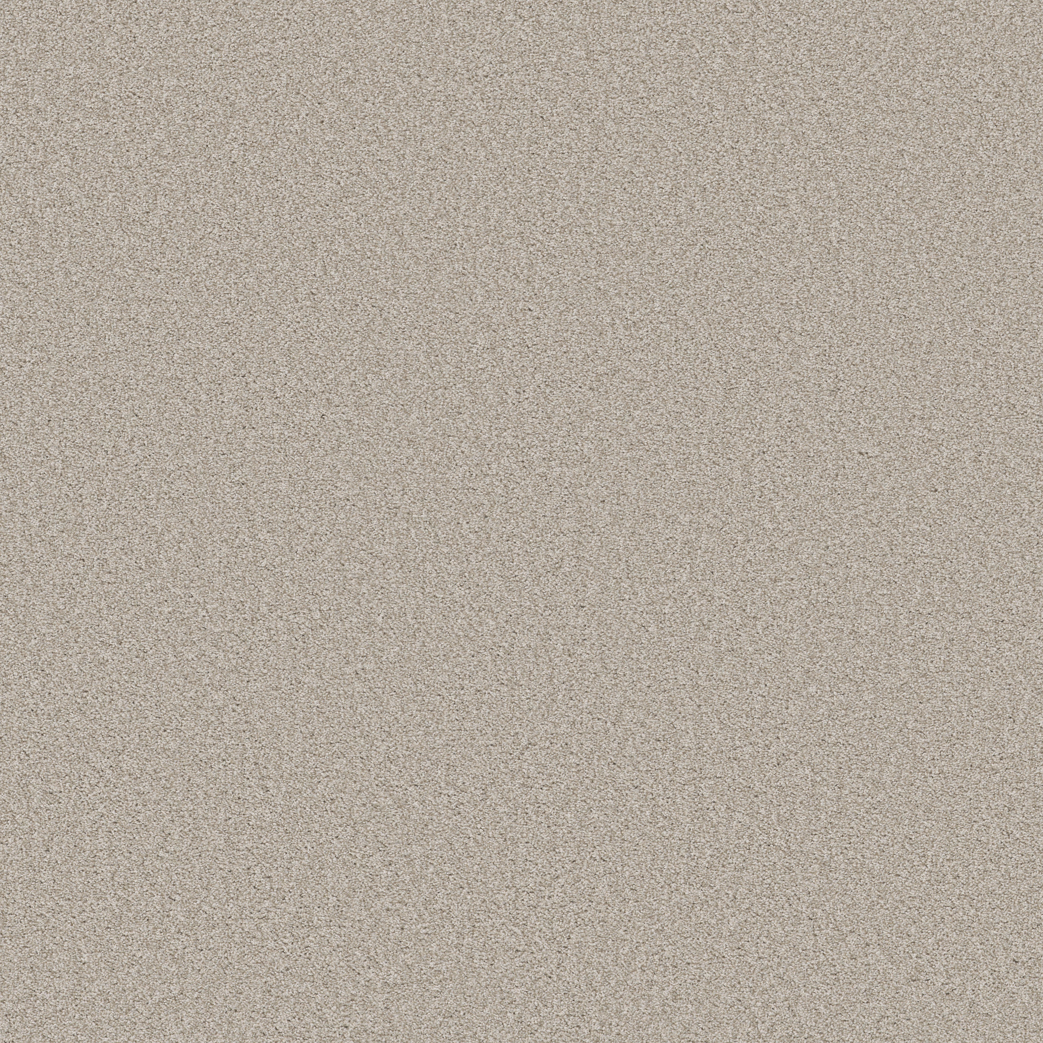 HARMONIOUS I SPLIT SEDIMENT MAIN