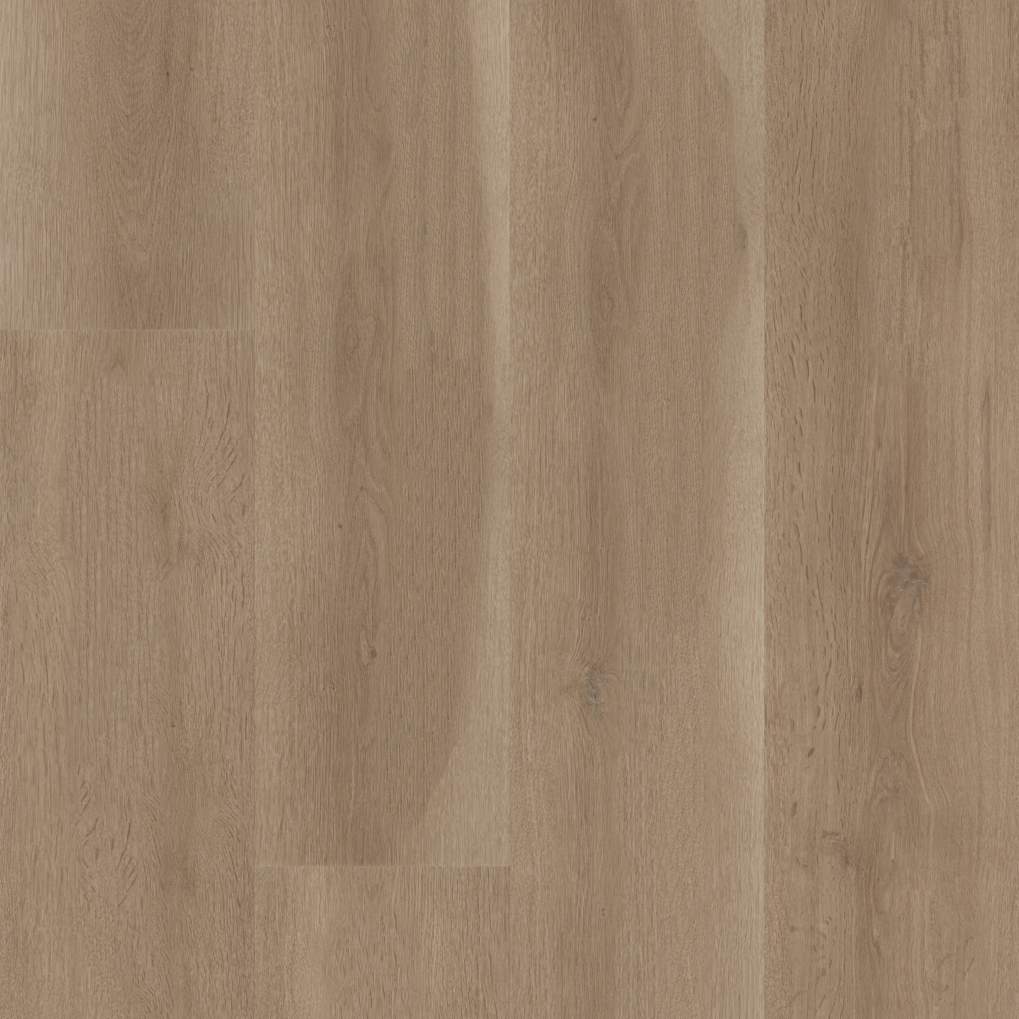 Aspire Natural Bevel - in Woodland Truffle | Shaw Floors