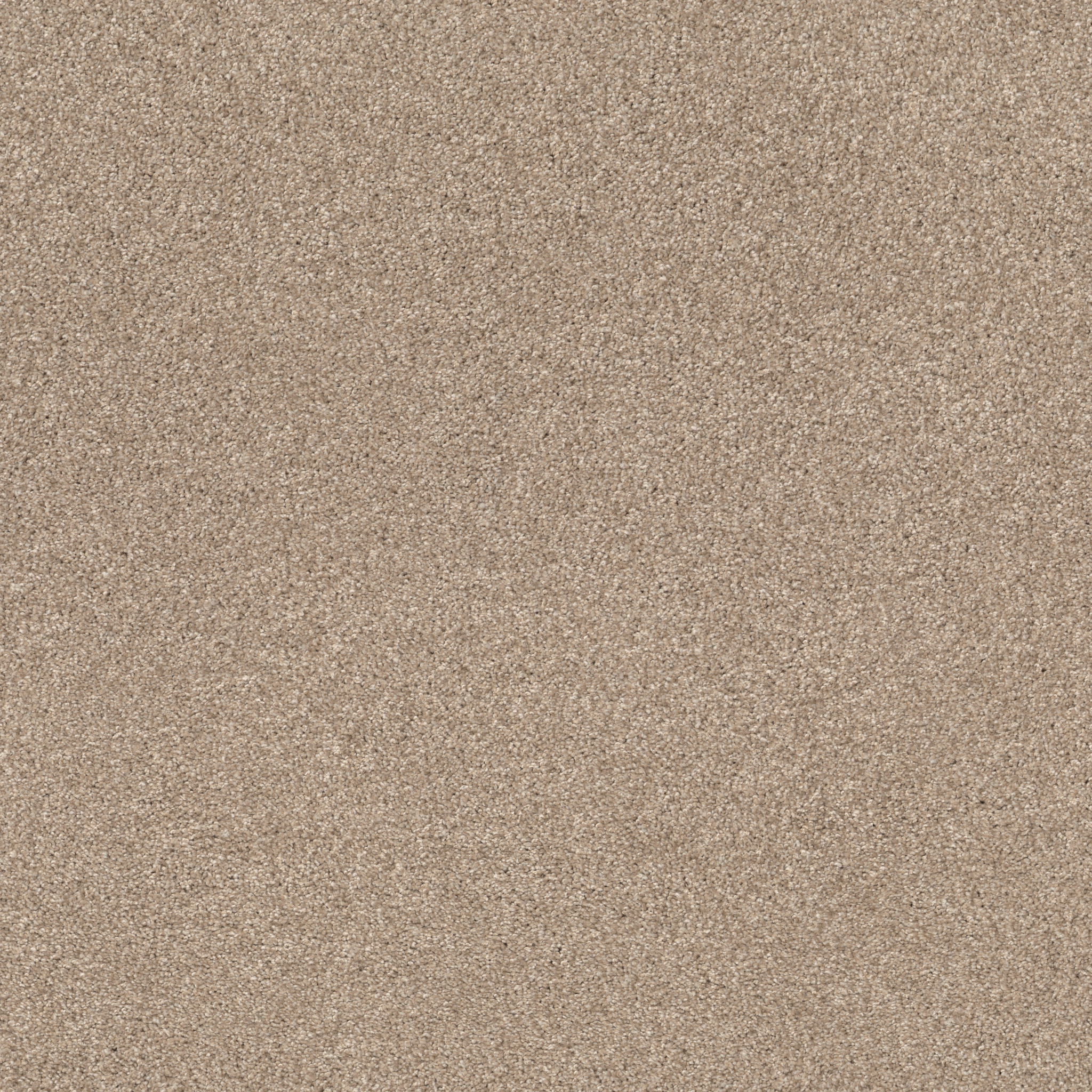 COZY HARBOR II NATURAL BEAUTY MAIN