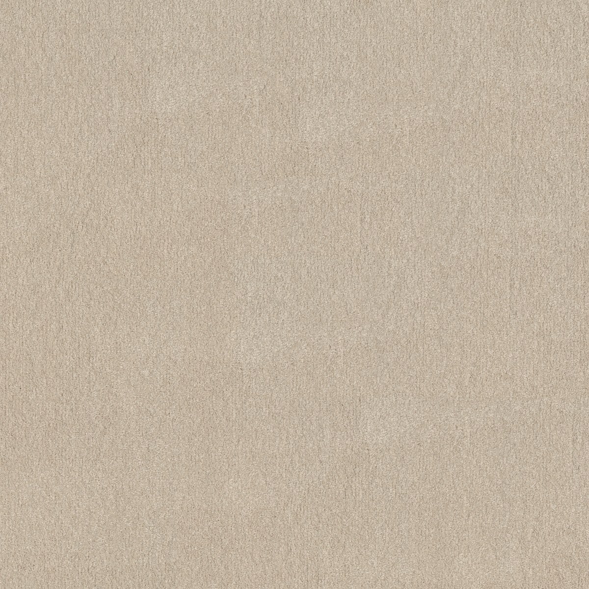 Shaw Floors SOLIDIFY I 12' — BLEACHED