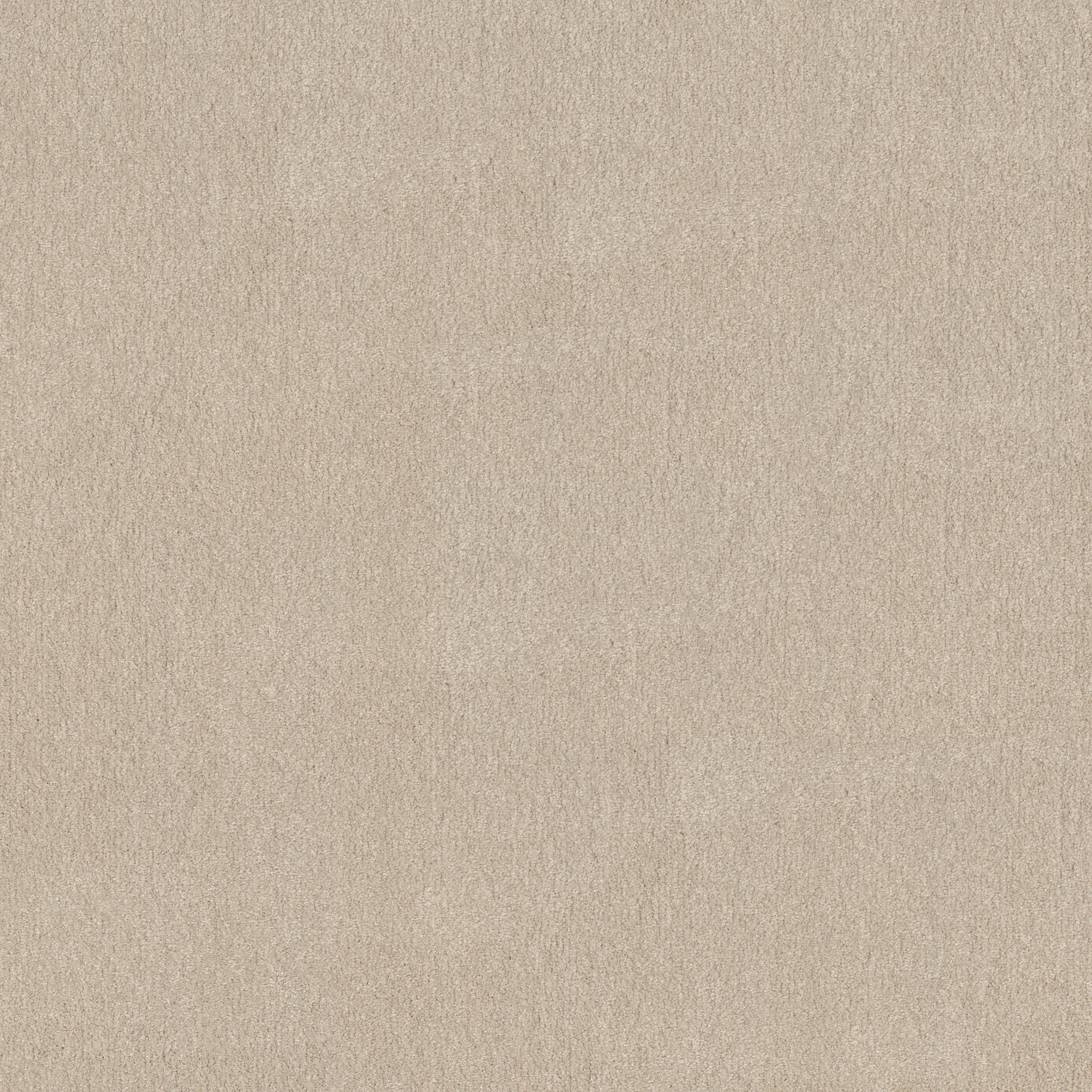 WELL GROUNDED I 12 BLEACHED MAIN