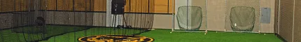 Indoor sports facility with artificial turf and netting