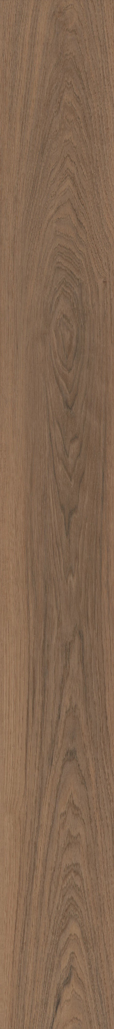 MALTESE SPARROW HICKORY 1TO1