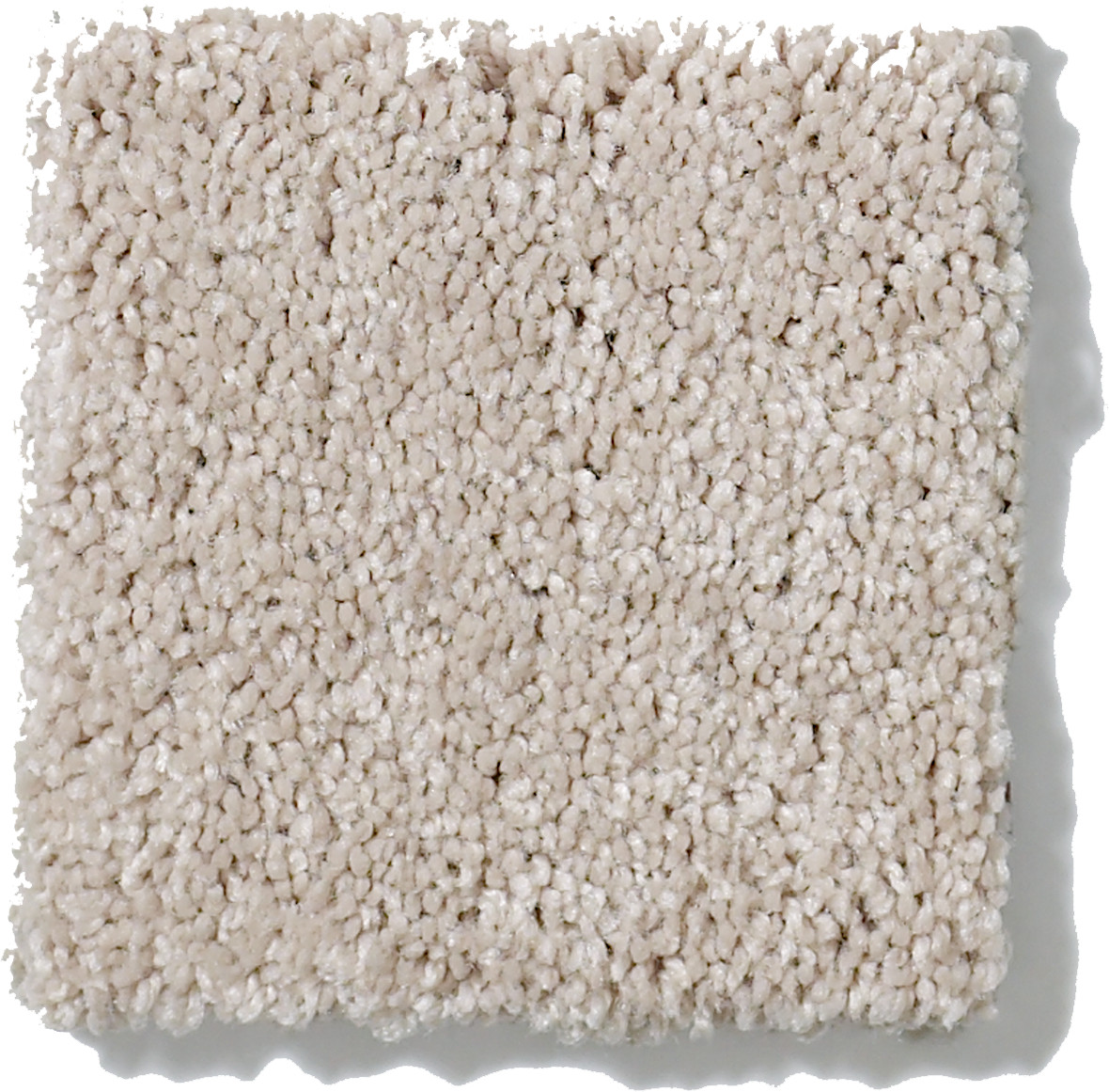 SALINA I CEMENT SWATCH