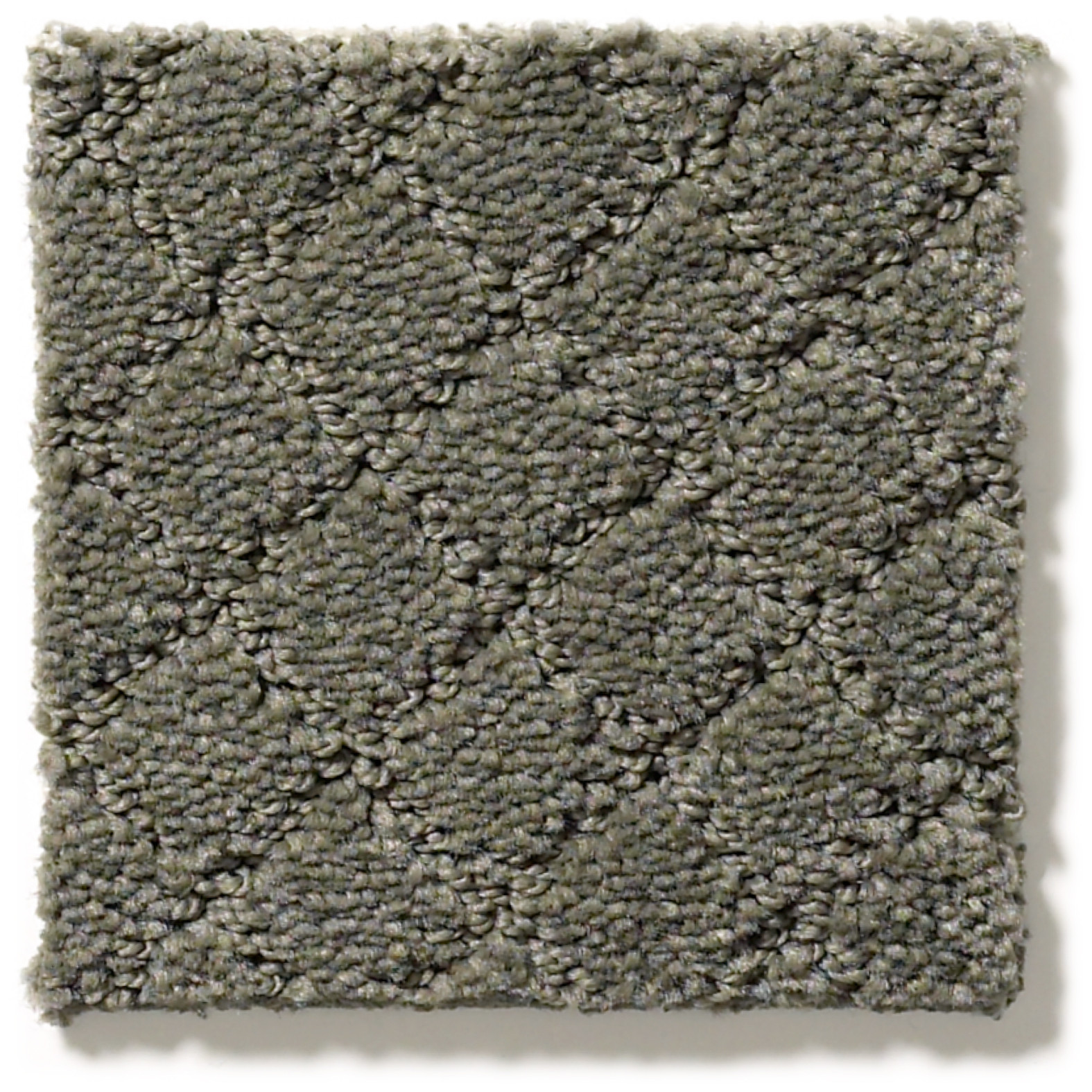 PAWNACHE SMOKED OYSTER SWATCH