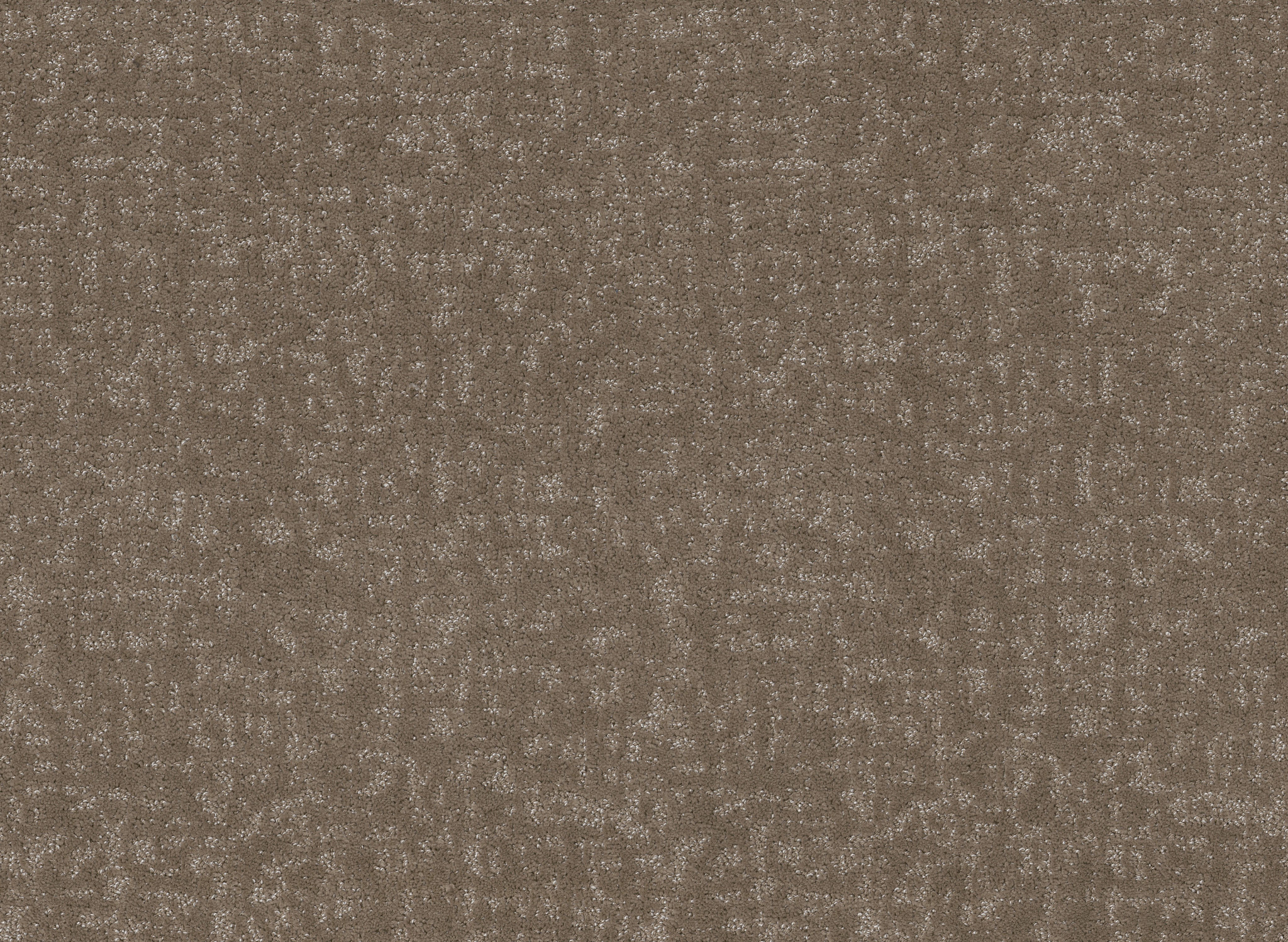 HOME WITHIN CAMEO MAIN