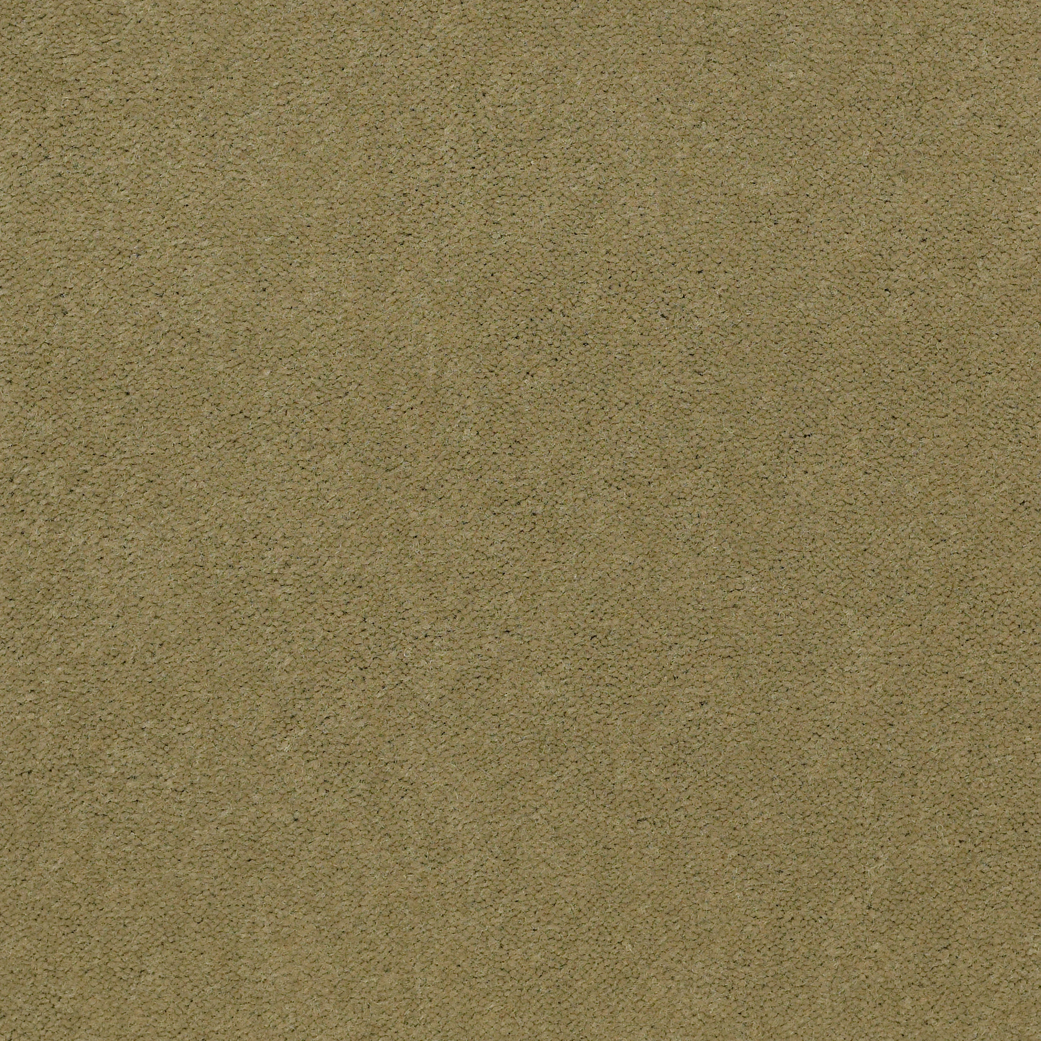 EMPHATIC-II-36-54256-TEA-GREEN-56321-main-image