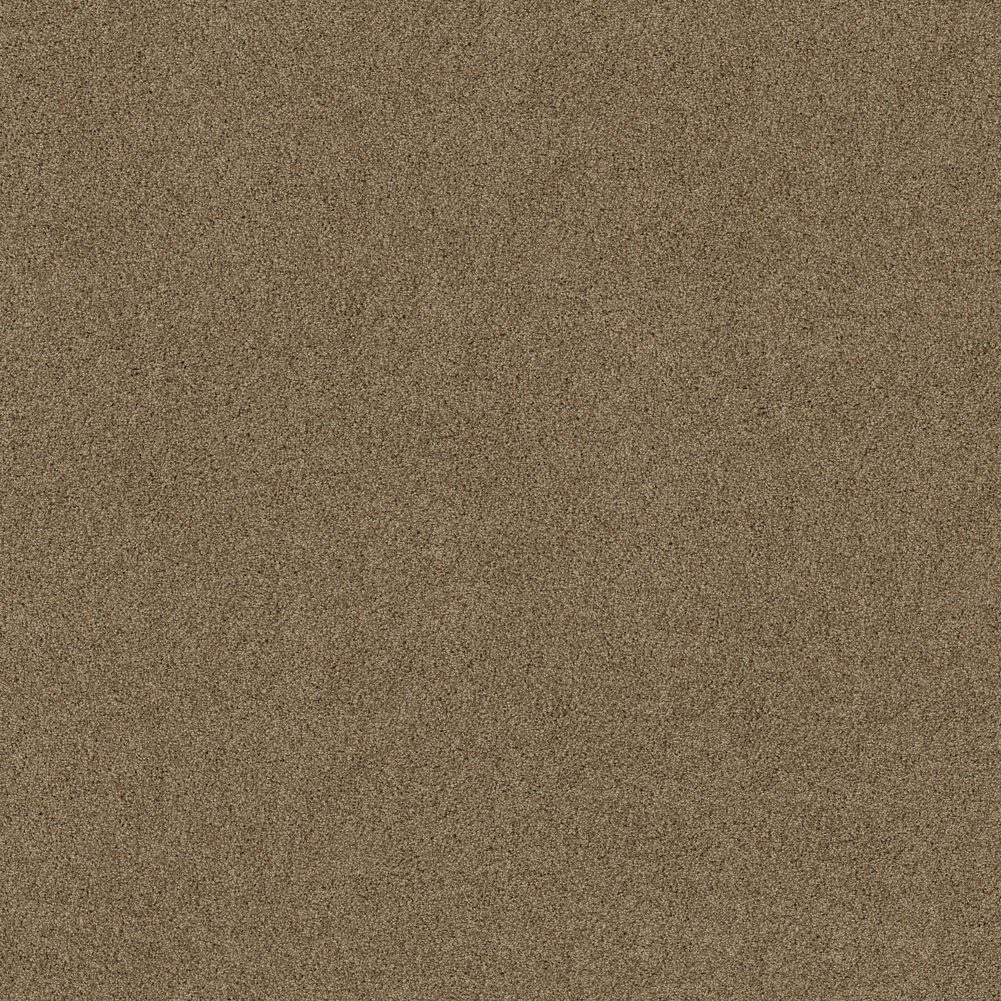 PARK HAVEN LODGE MAIN