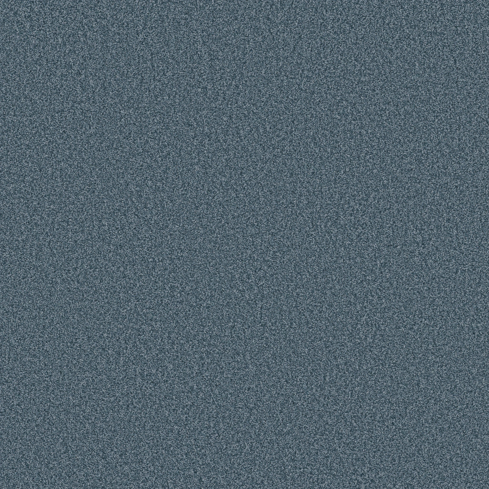 transform-your-space-today-with-life-of-the-party-tonal-comfort-blue-carpet-embrace-elegance-and-texture-with-softbac-w-lifeguard-technology