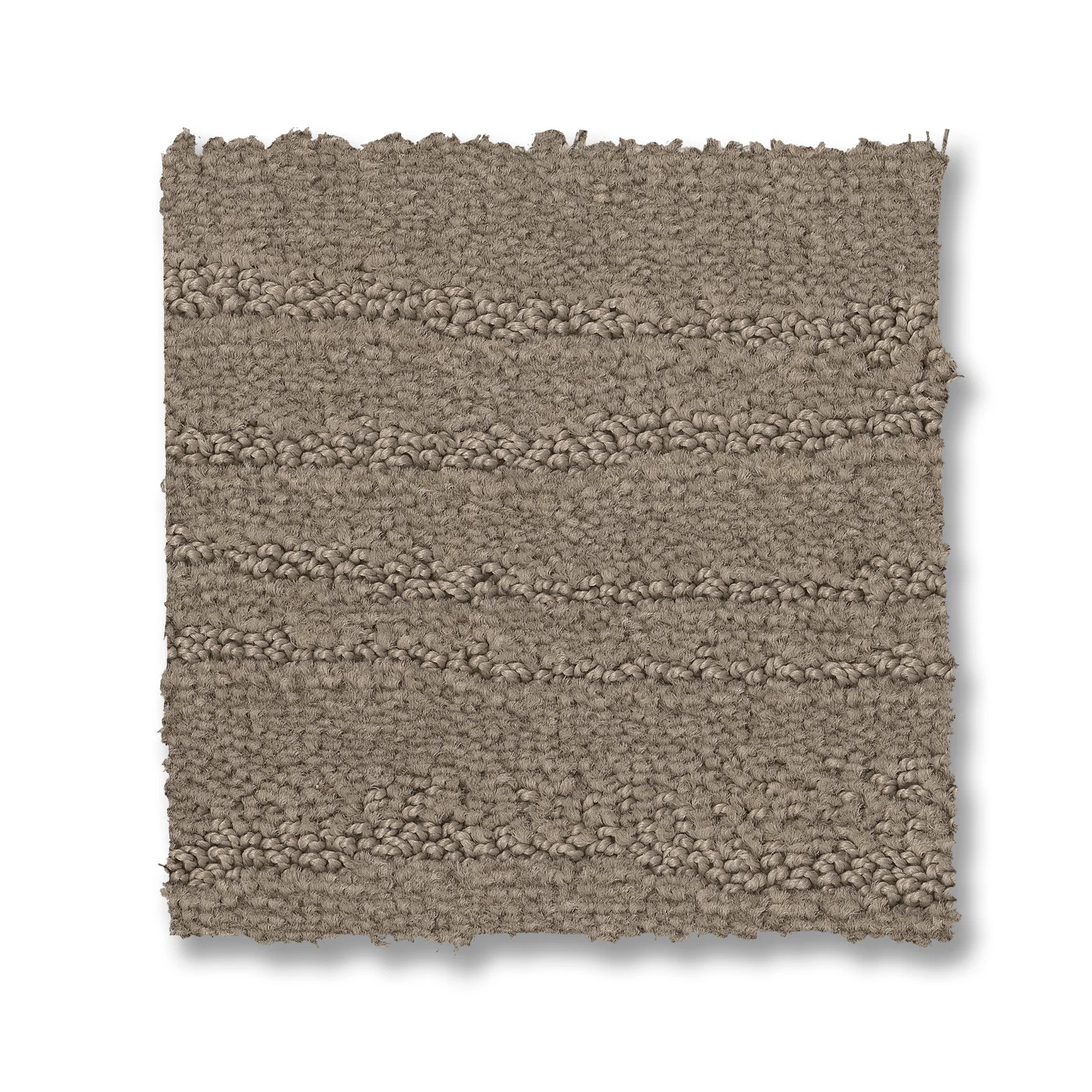 CAPISTRANO KOALA SWATCH