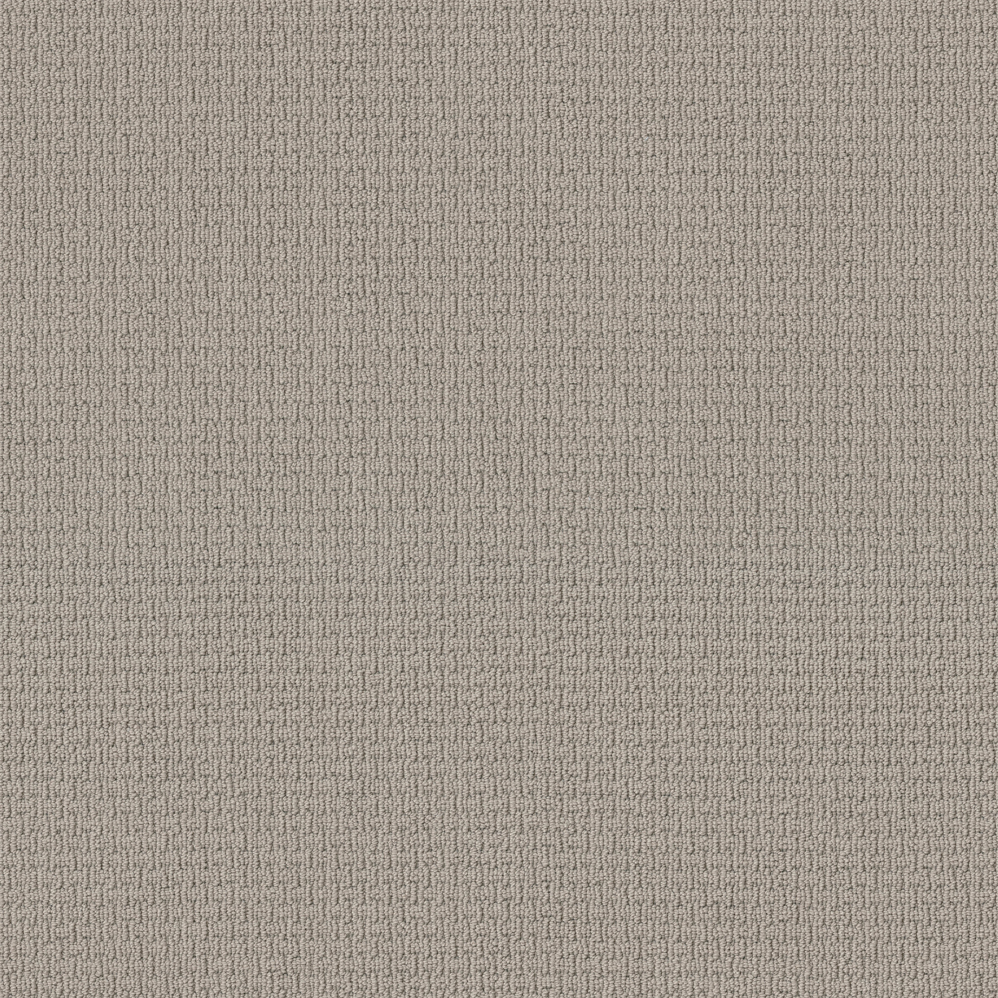 aya26 Casual Life - 100% ANSO® Nylon in Dream Dust | AndersonTuftex