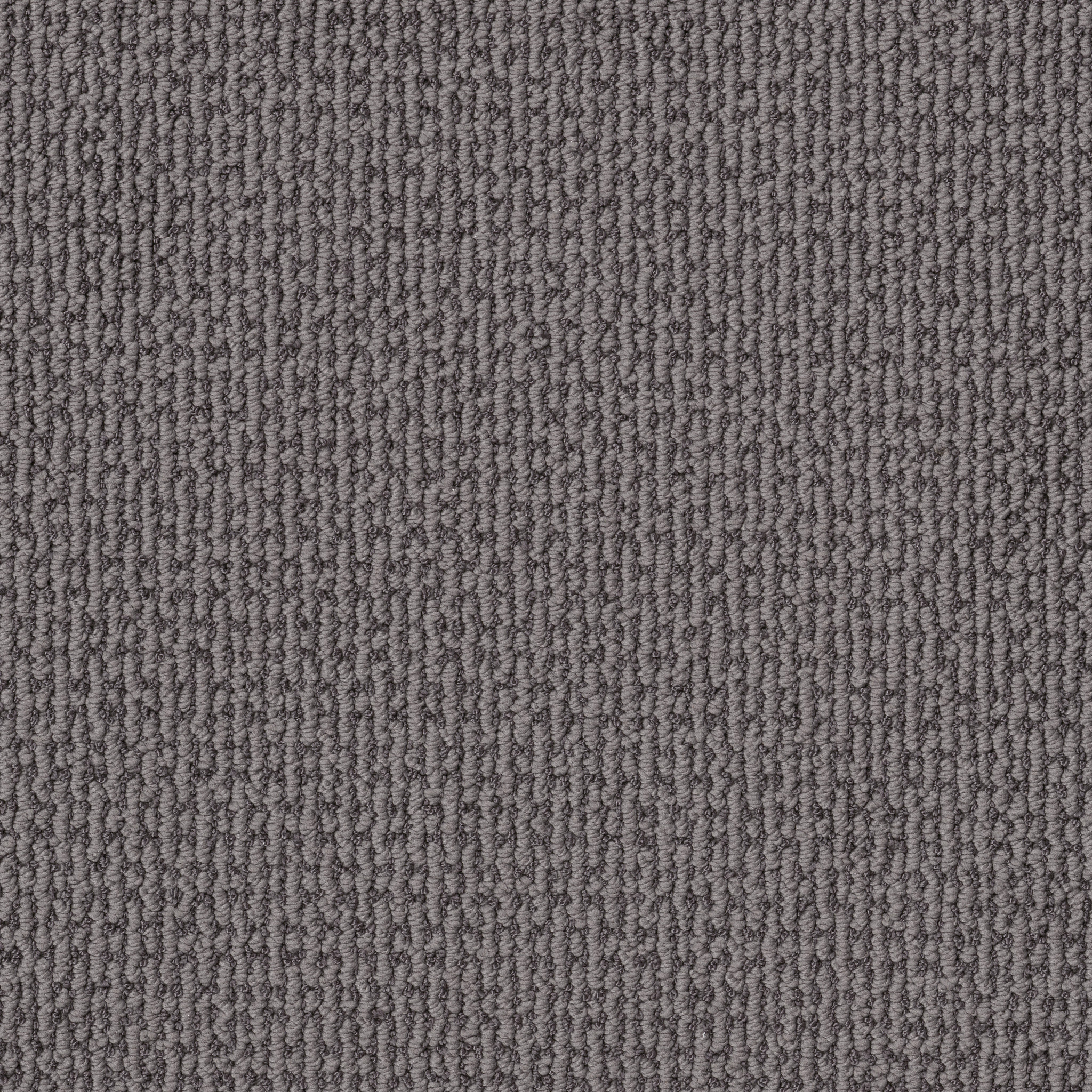 CRAFTED EMBRACE DOLPHIN MAIN