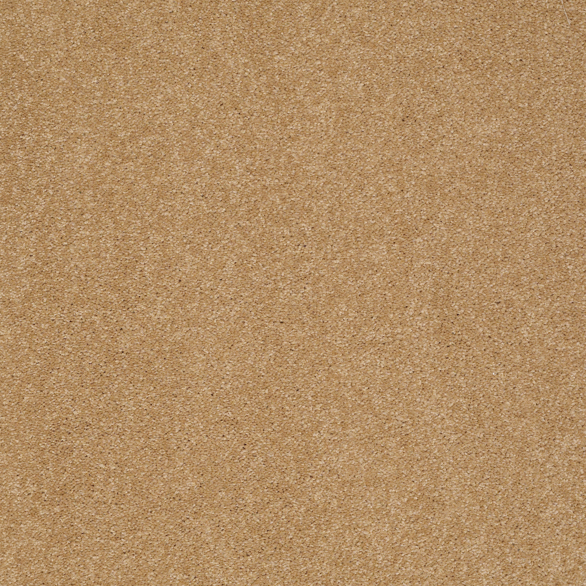 SANDY HOLLOW CLASSIC III 15' CORK MAIN