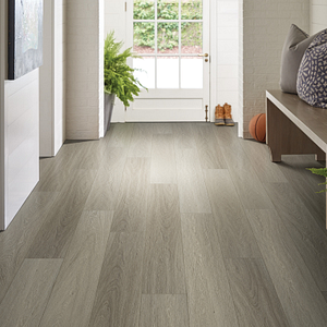 Shaw Floors Resilient Residential Distinction Plus Earthy Taupe