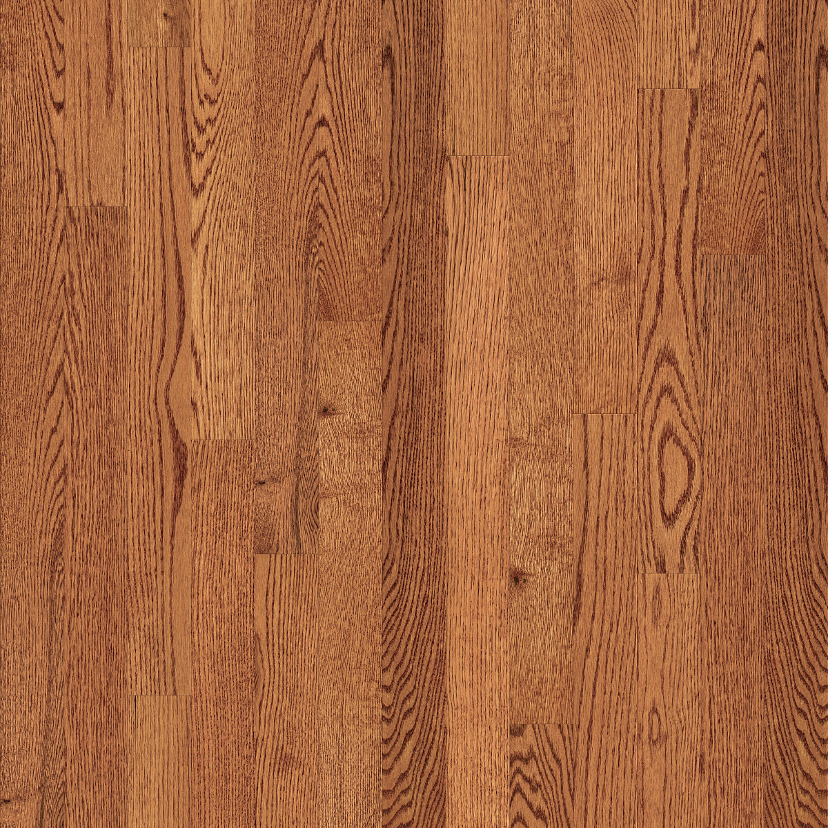 Lineage Oak 3"