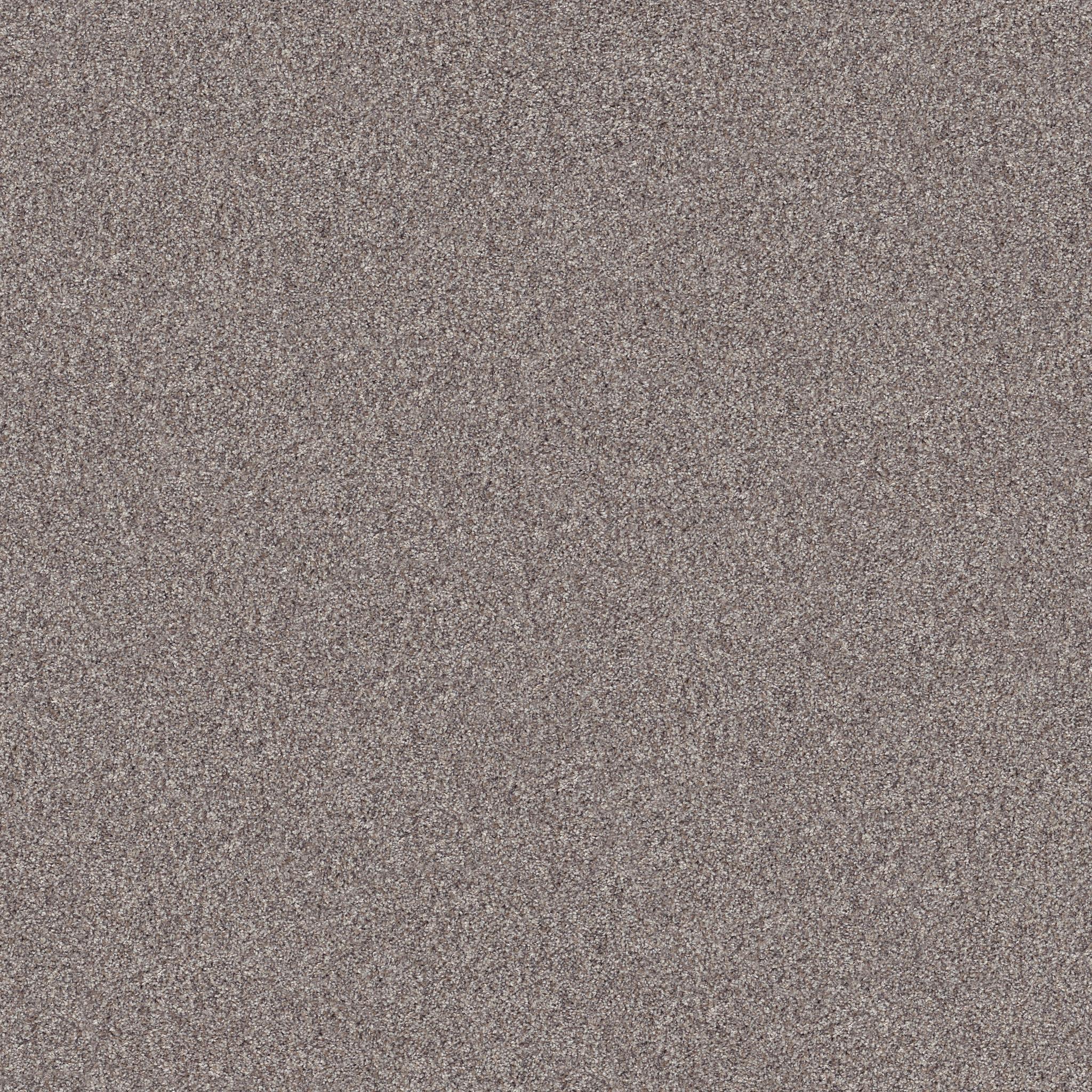 Inlet Shore 1 15' in French Buff