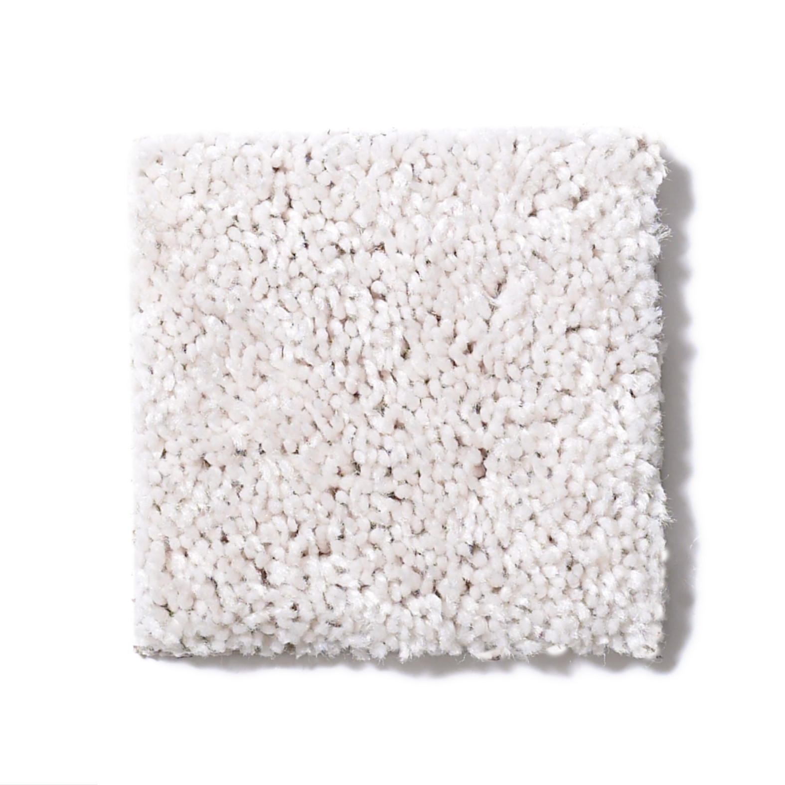 FULL COURT 12' HALO SWATCH