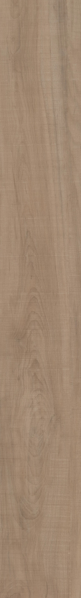 ANVIL PLUS 20 MIL CHATTER OAK 1TO1