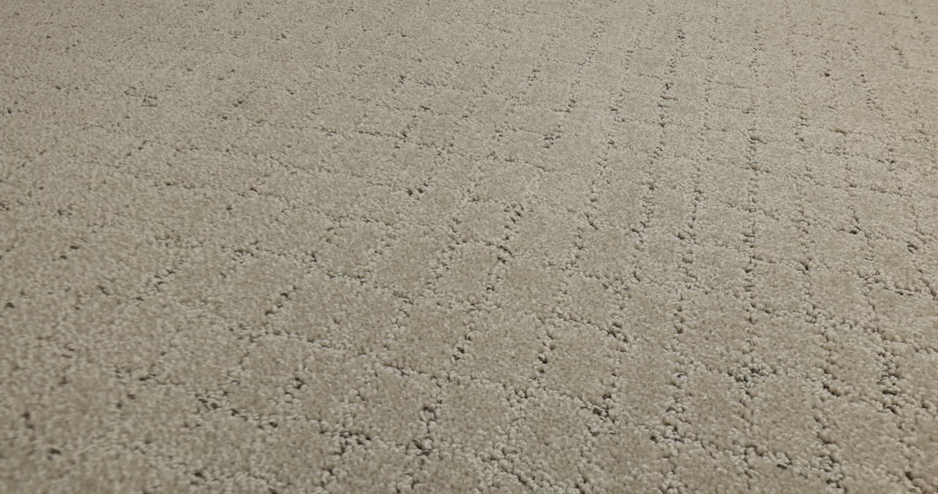 BLOCK PARTY CAMEO 360PROD