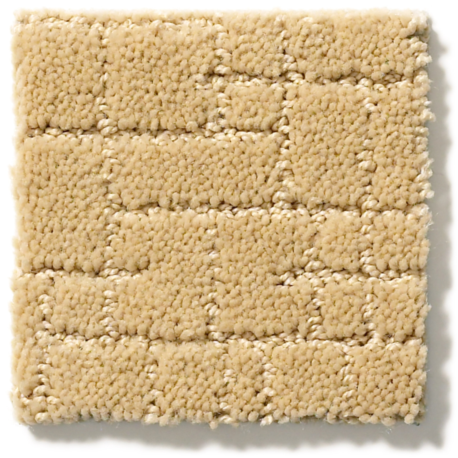 FAUX PAW CORK SWATCH