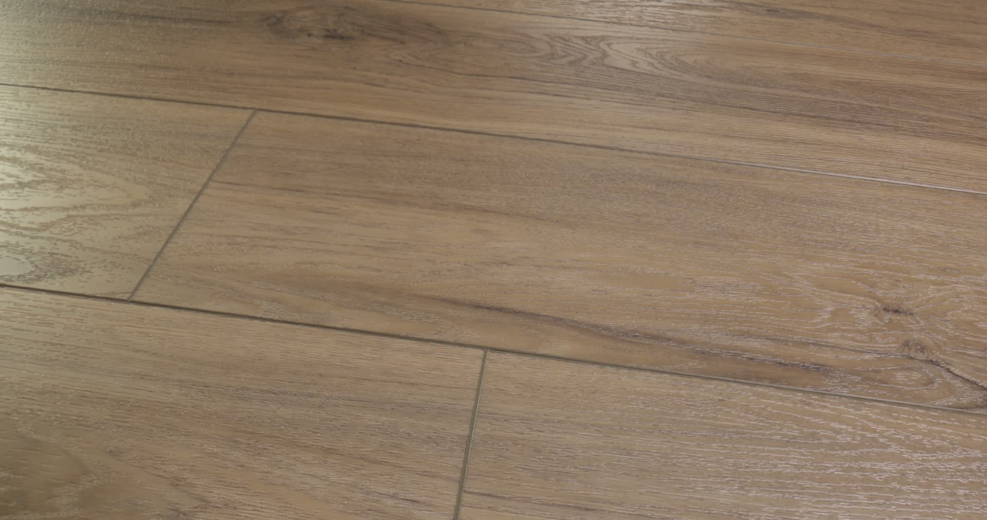 Pantheon Hd Plus - in Fiano | Shaw Floors