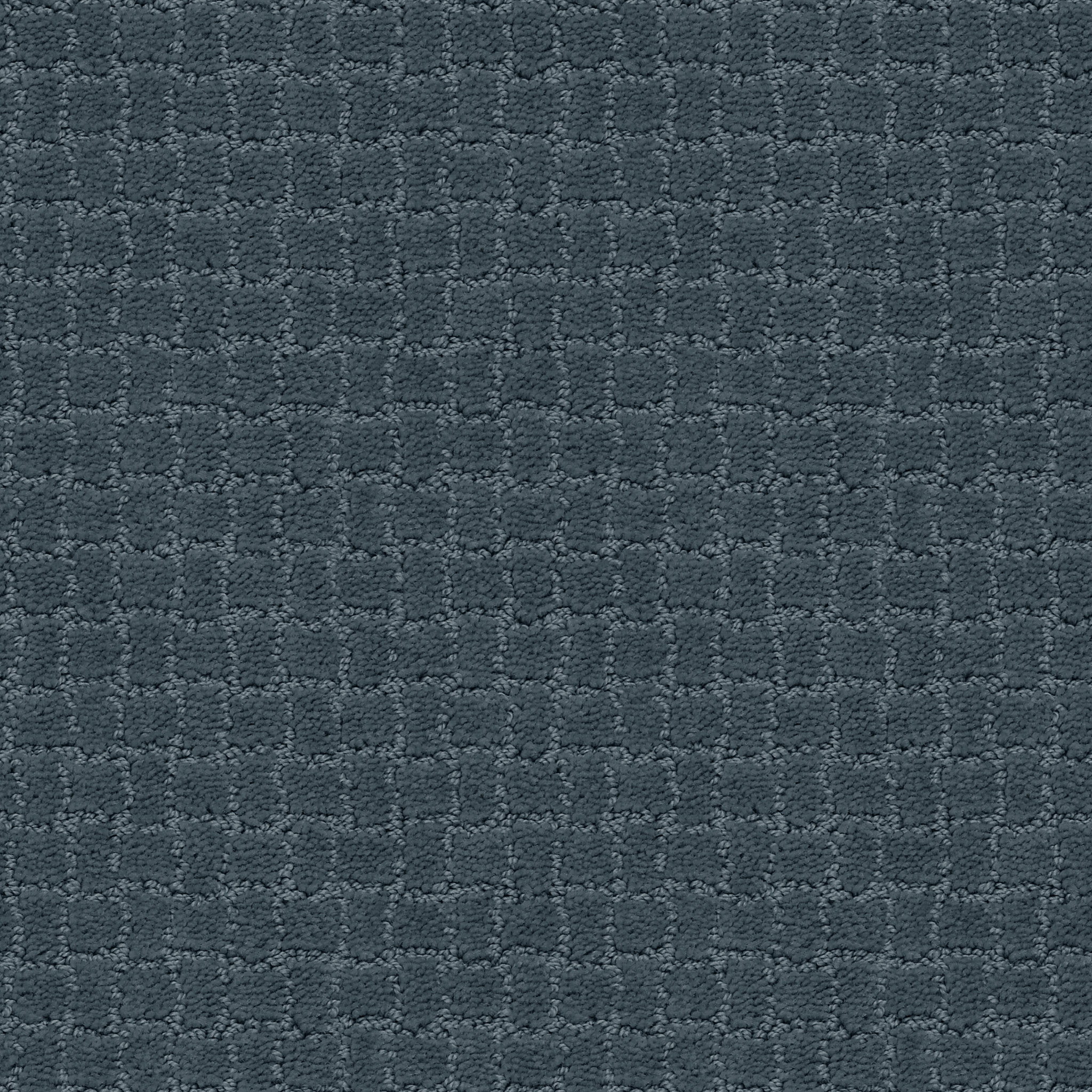 PAWSTRUCK NIMBUS MAIN