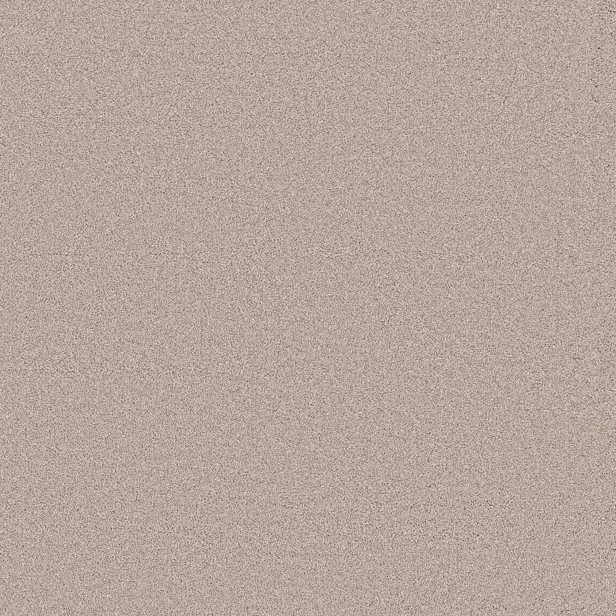 BLENDED TOUCH II VENETIAN PLASTER MAIN