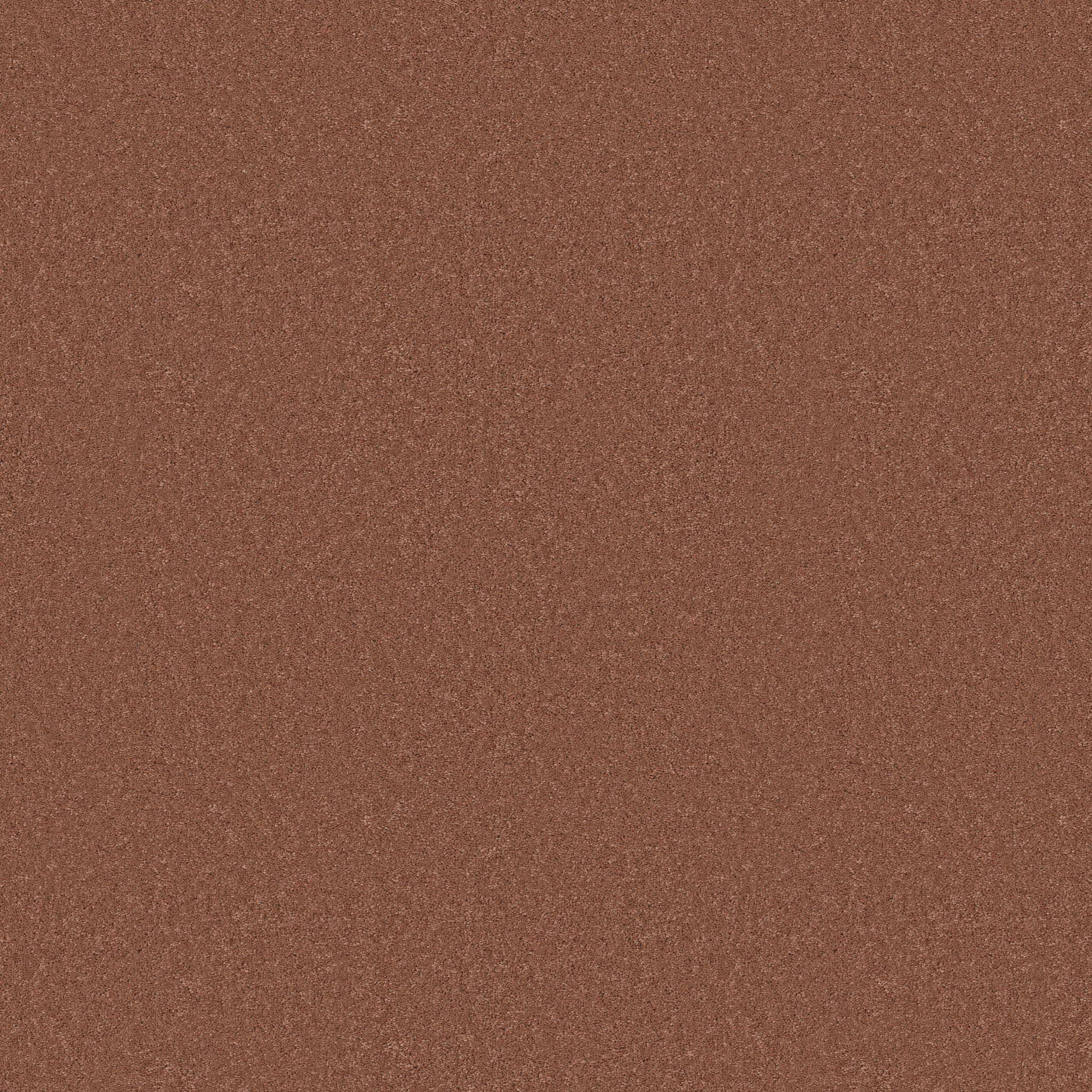 ENDURING CHARM CLAY MAIN