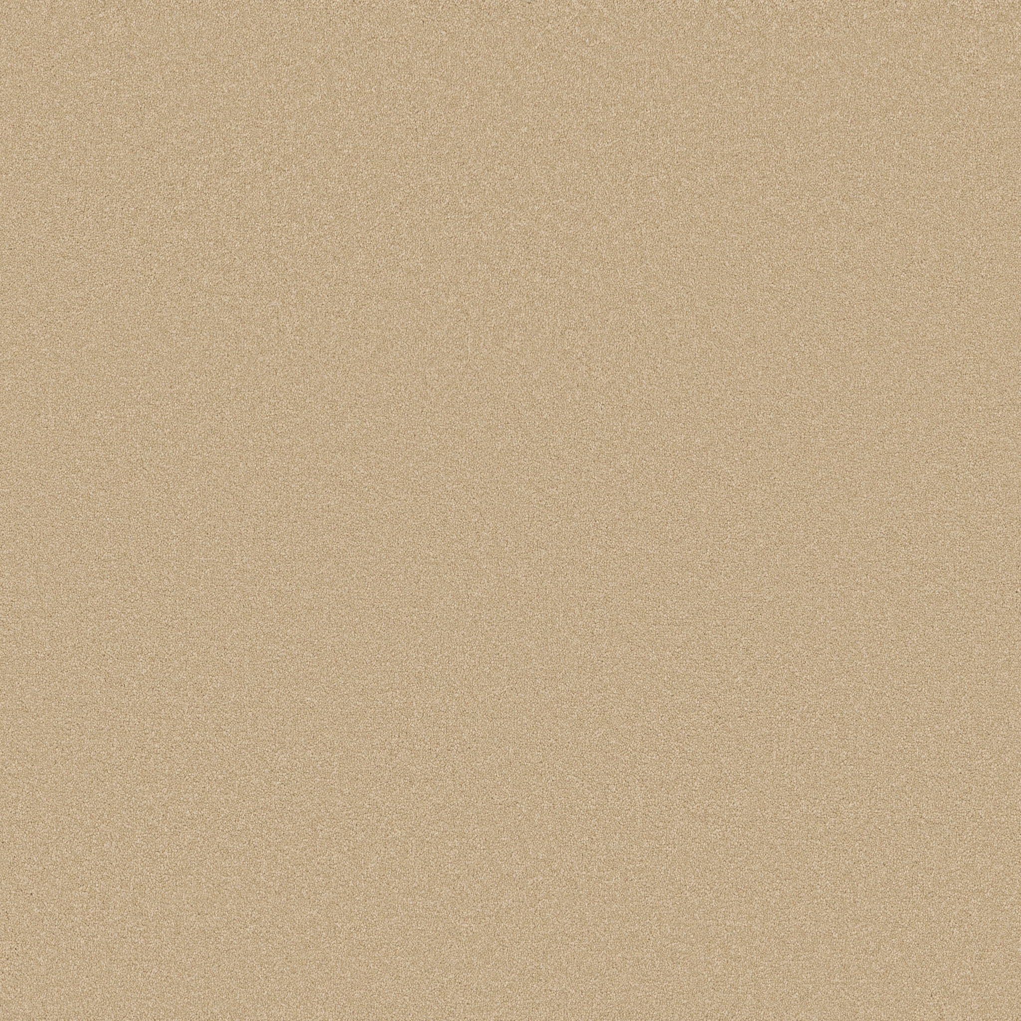 AWAKEN SPIRIT I 12' SUGAR COOKIE MAIN