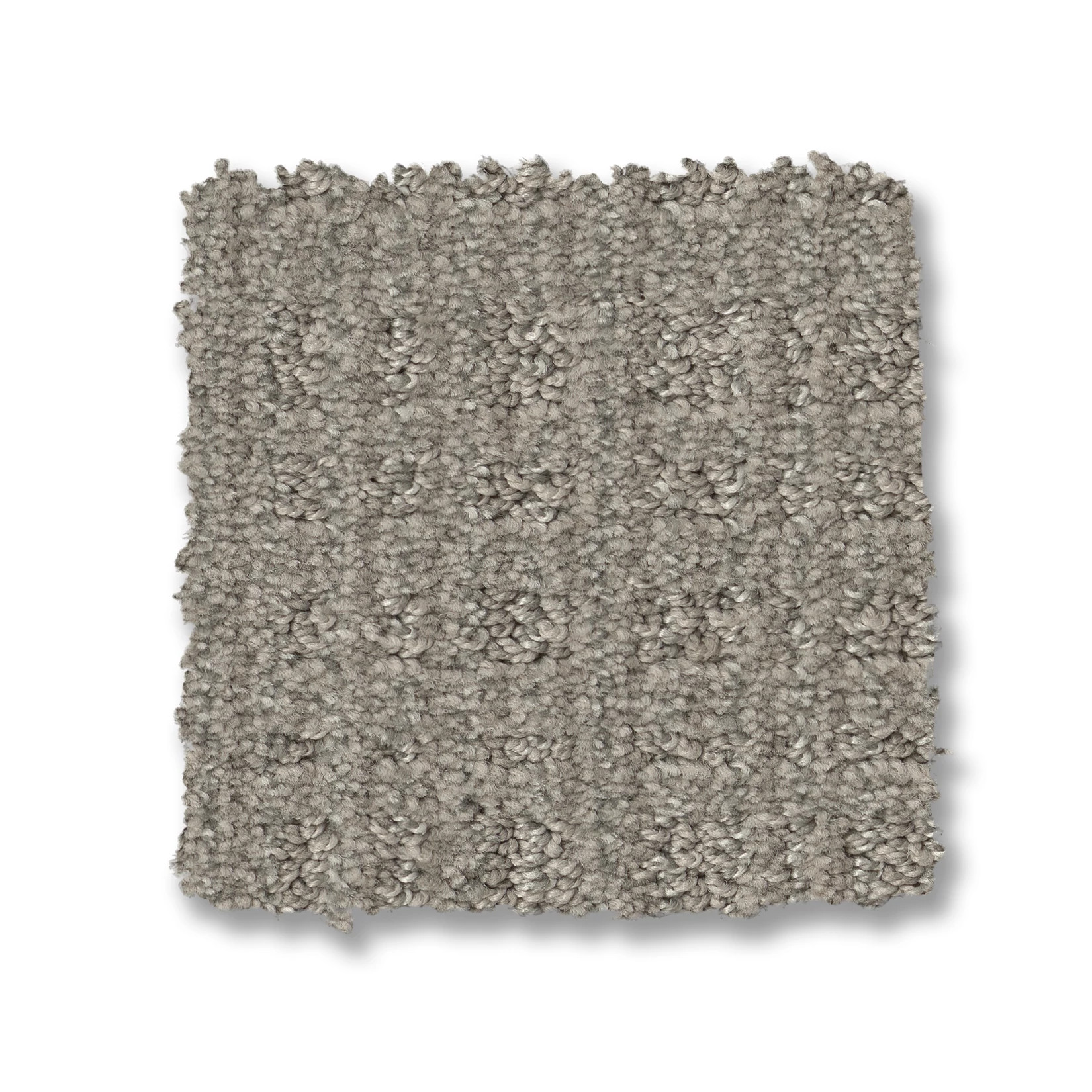 PURRSUASION CEMENT SWATCH