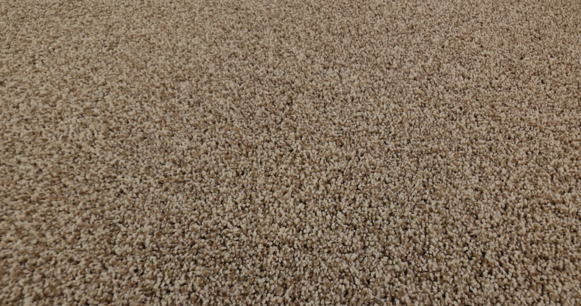 BOSSA NOVA NUTSHELL 360PROD