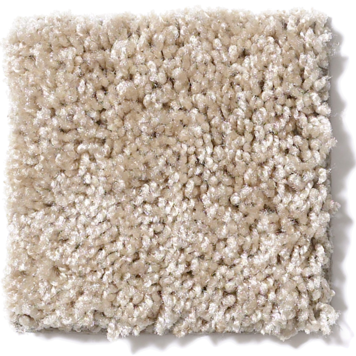 LIFE'S HIGHWAY 12 (S) STUCCO SWATCH