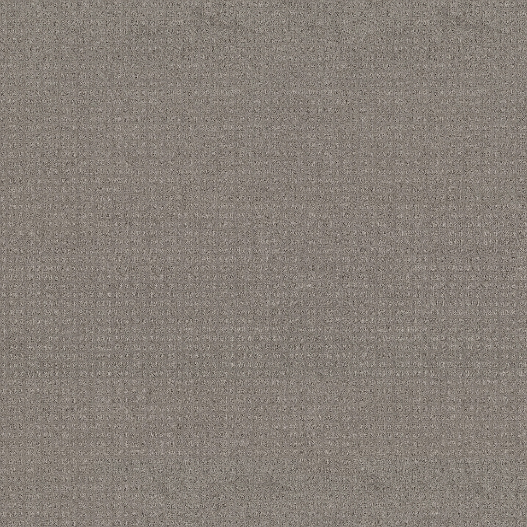 ESSENTIAL NOW RIVER RUN MAIN