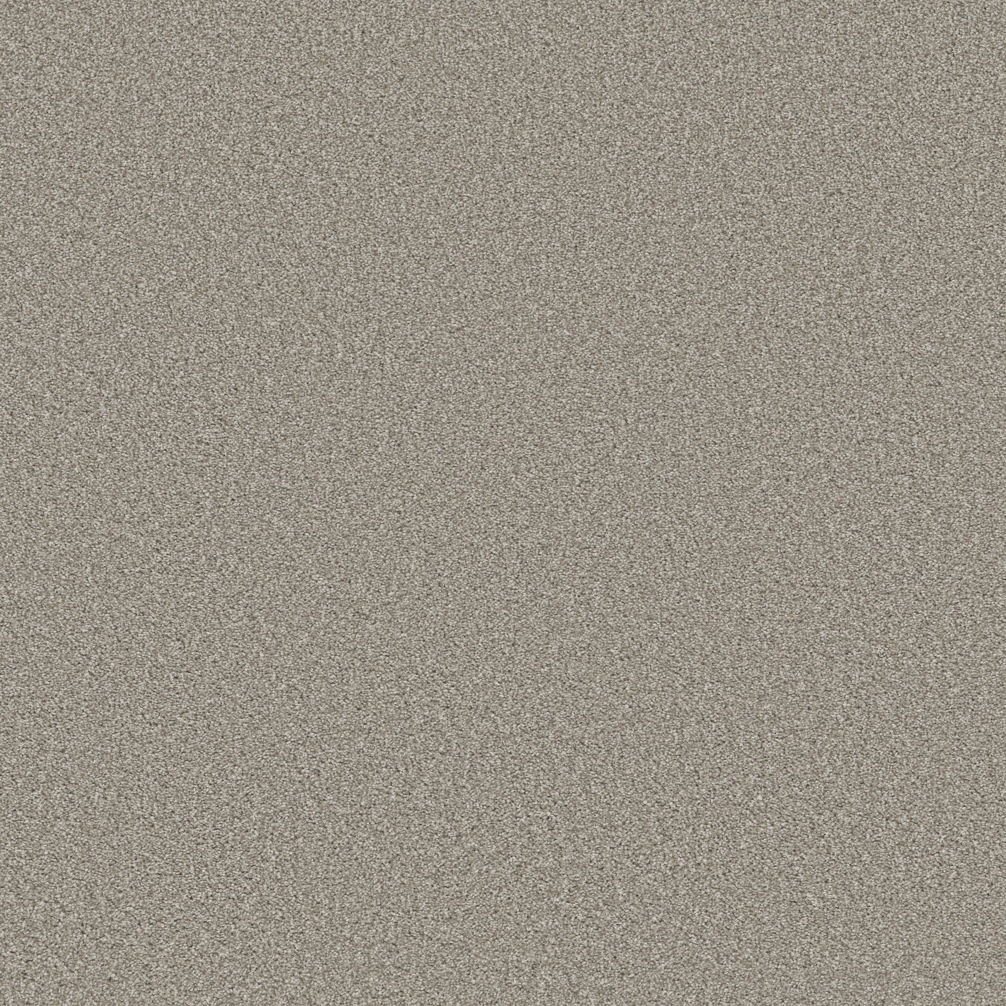 TRUSOLUTIONS III STONE PATH MAIN