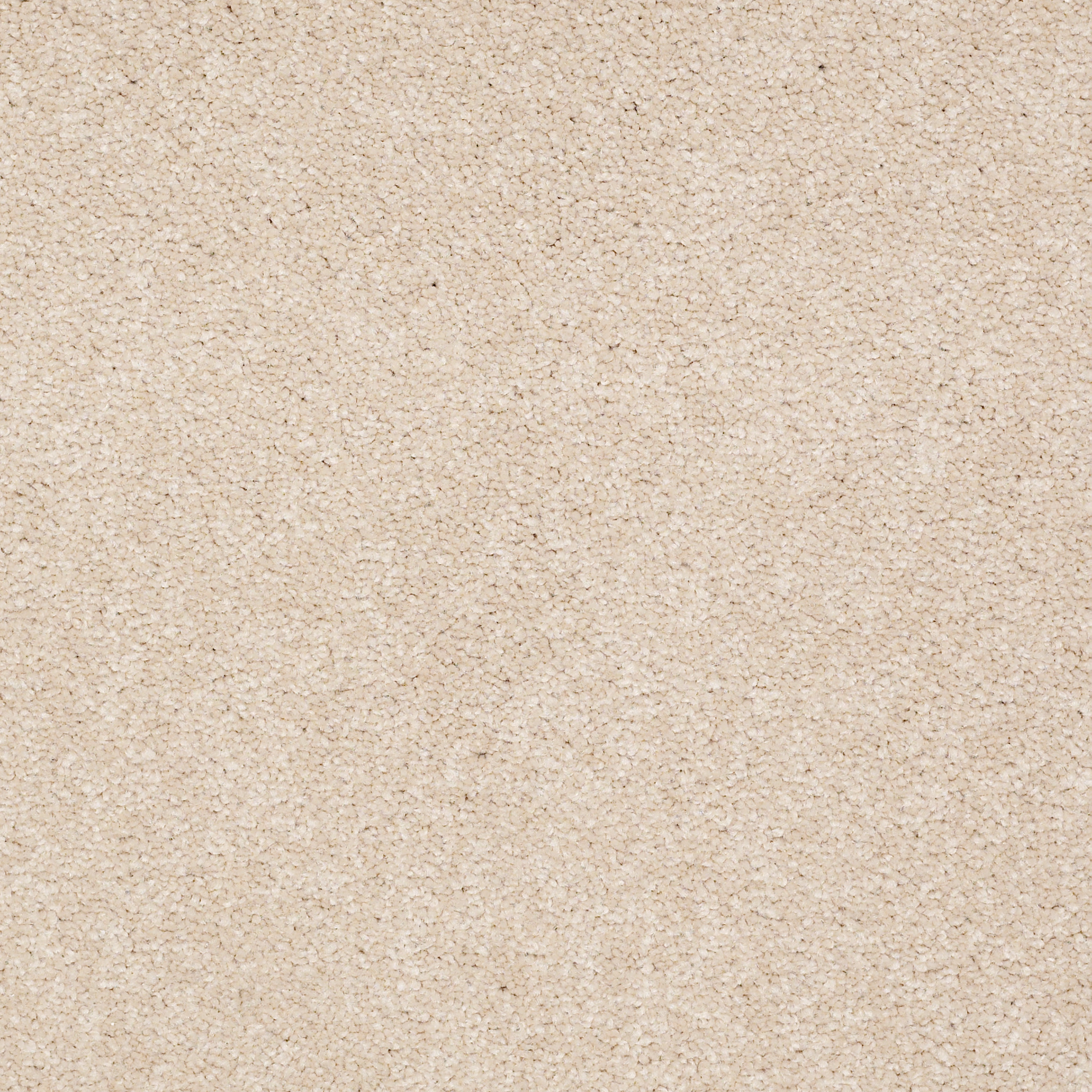 SOPHISTICATION 15' CASHEW MAIN