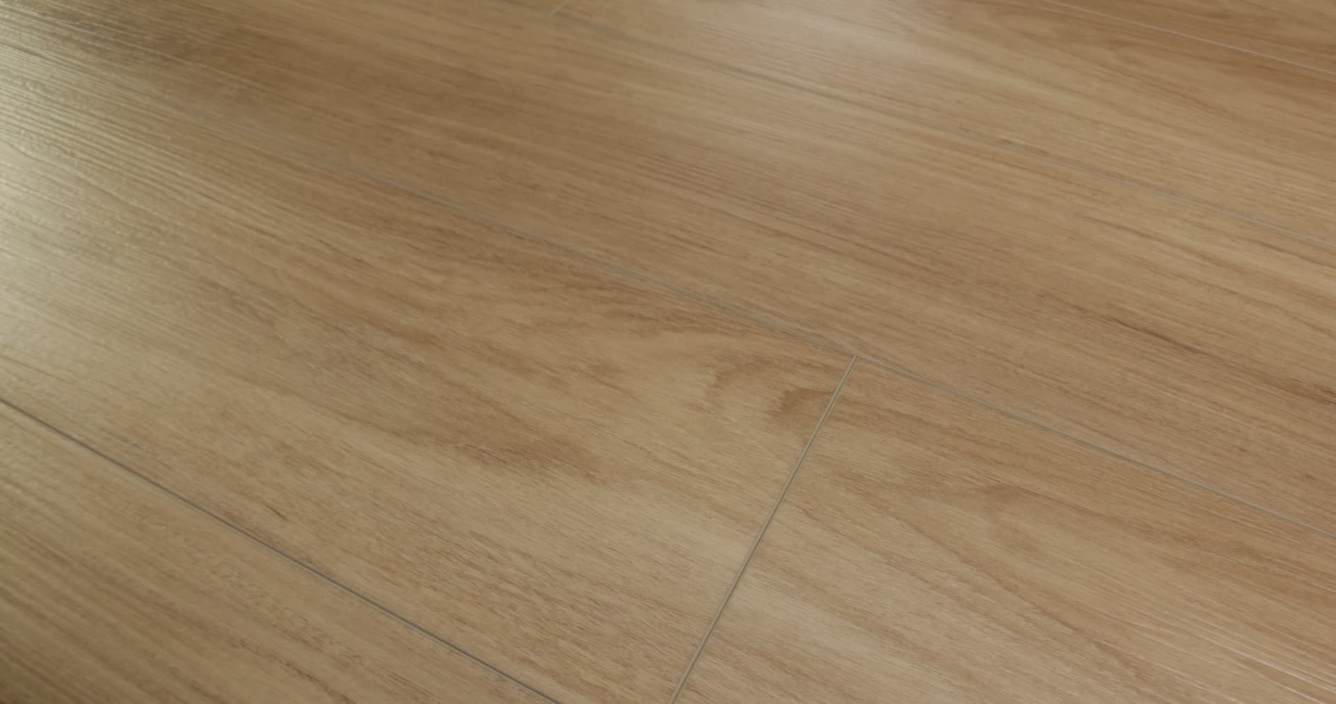 DISTINCTION PLUS HAZELNUT BROWN 360PROD